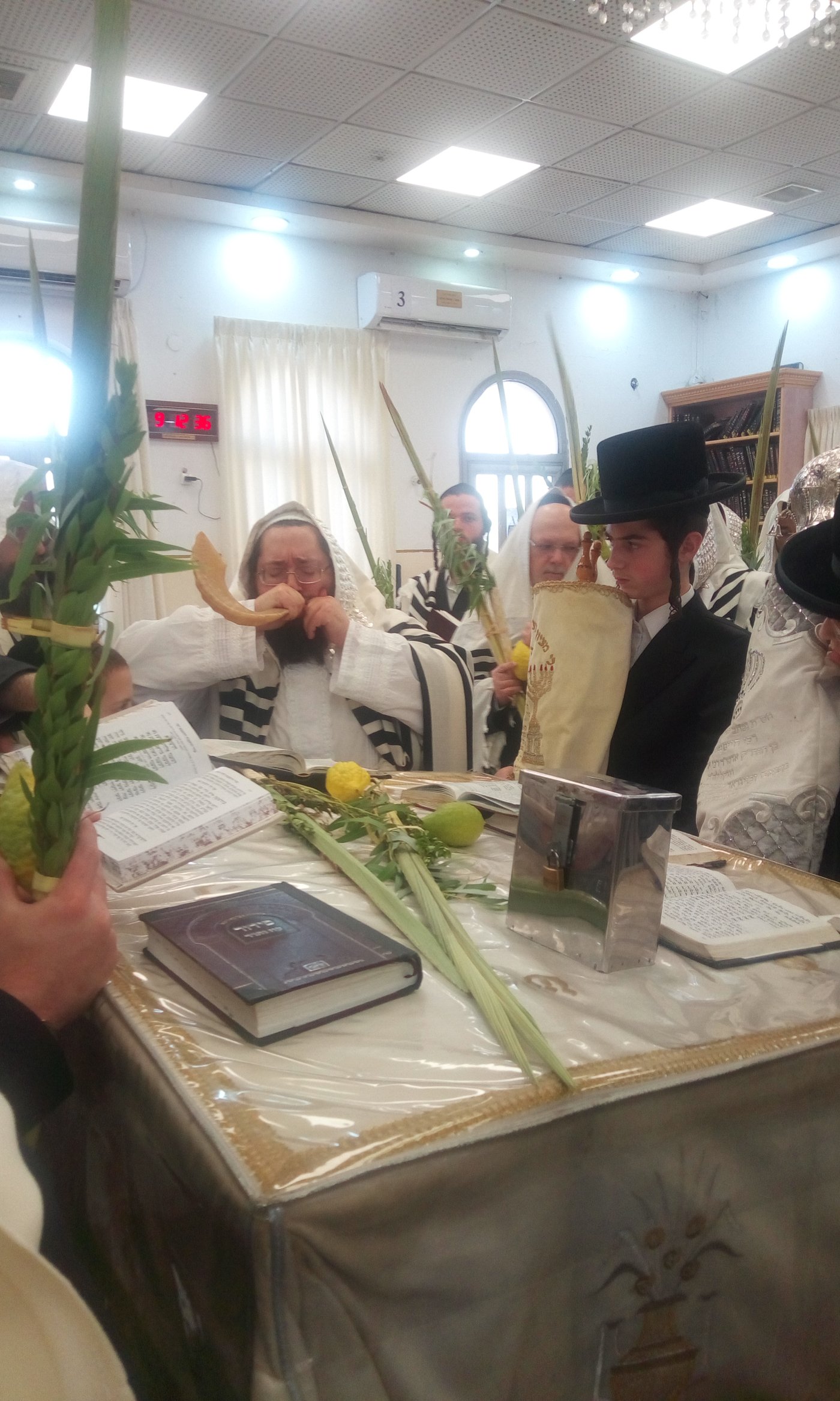 ירח האיתנים בחצה"ק צאנז ז'מיגראד