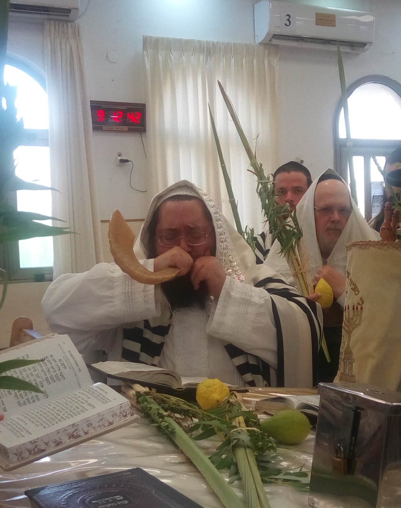 ירח האיתנים בחצה"ק צאנז ז'מיגראד