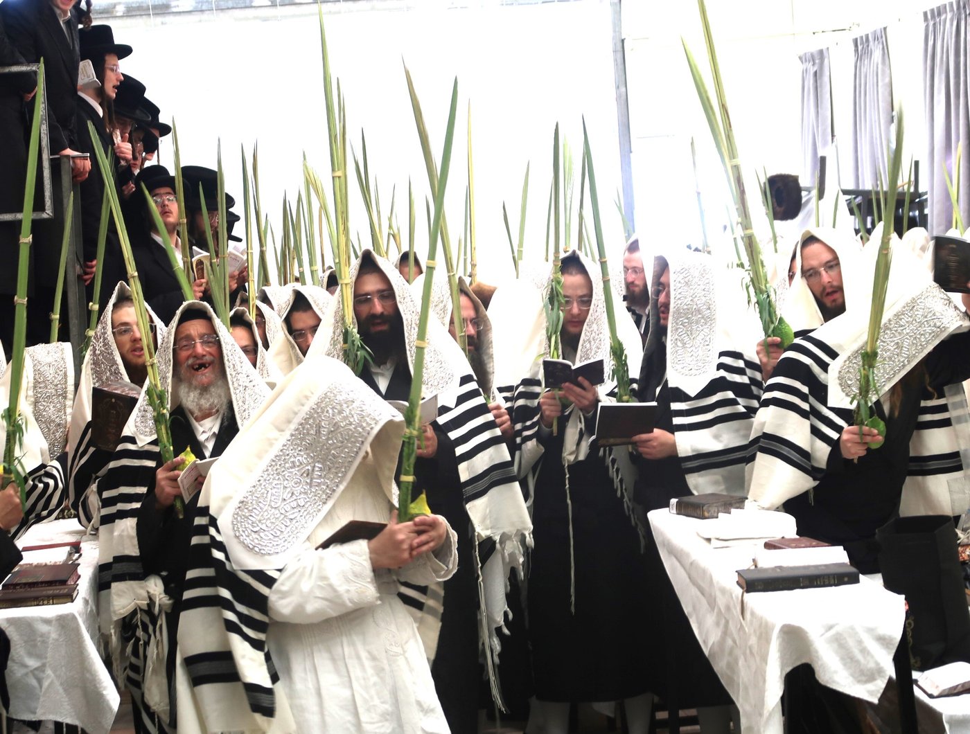 סוכות - הושענא רבה - שמחת תורה, בחצה"ק נדבורנה ירושלים