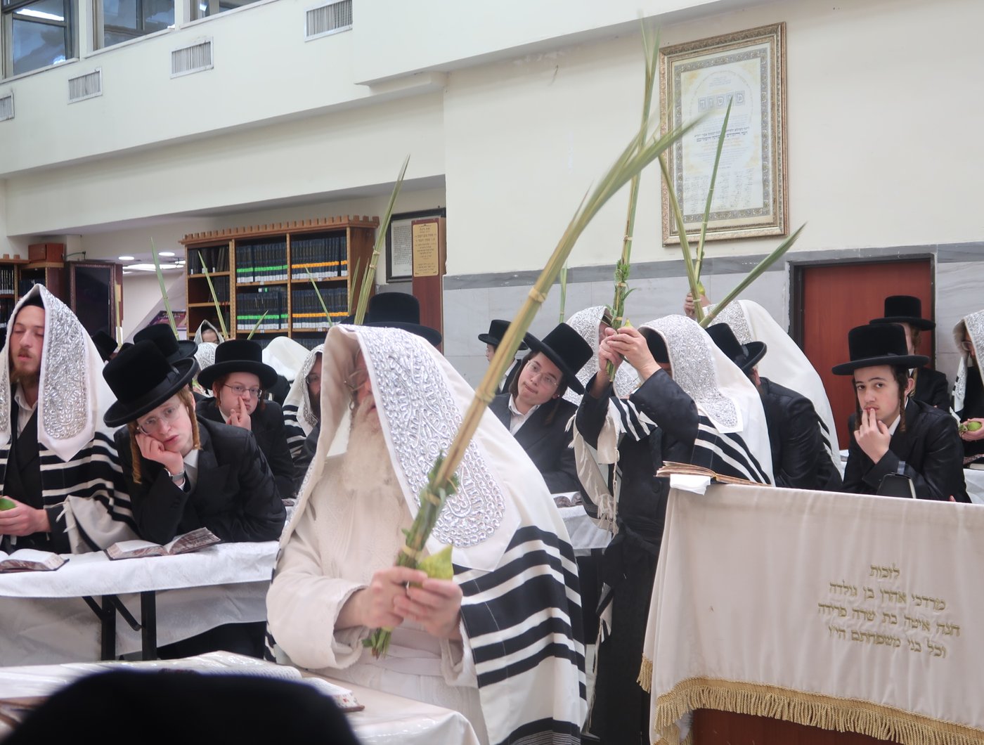 סוכות - הושענא רבה - שמחת תורה, בחצה"ק נדבורנה ירושלים