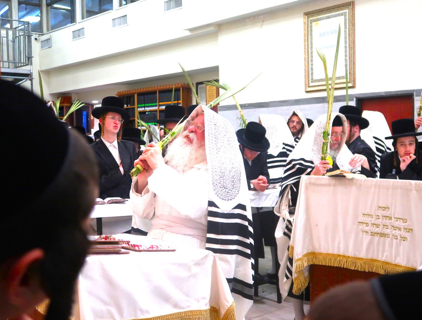 סוכות - הושענא רבה - שמחת תורה, בחצה"ק נדבורנה ירושלים