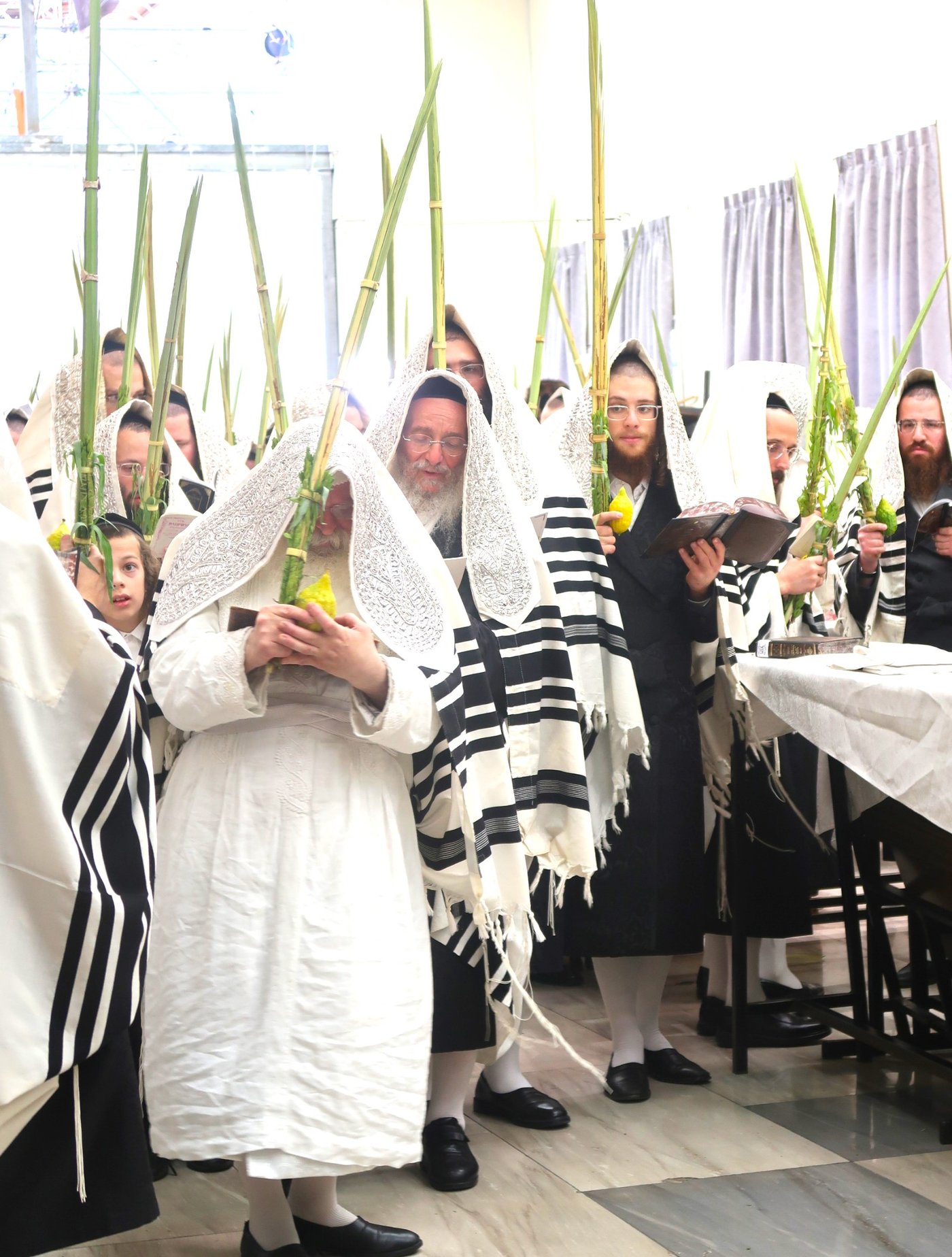 סוכות - הושענא רבה - שמחת תורה, בחצה"ק נדבורנה ירושלים