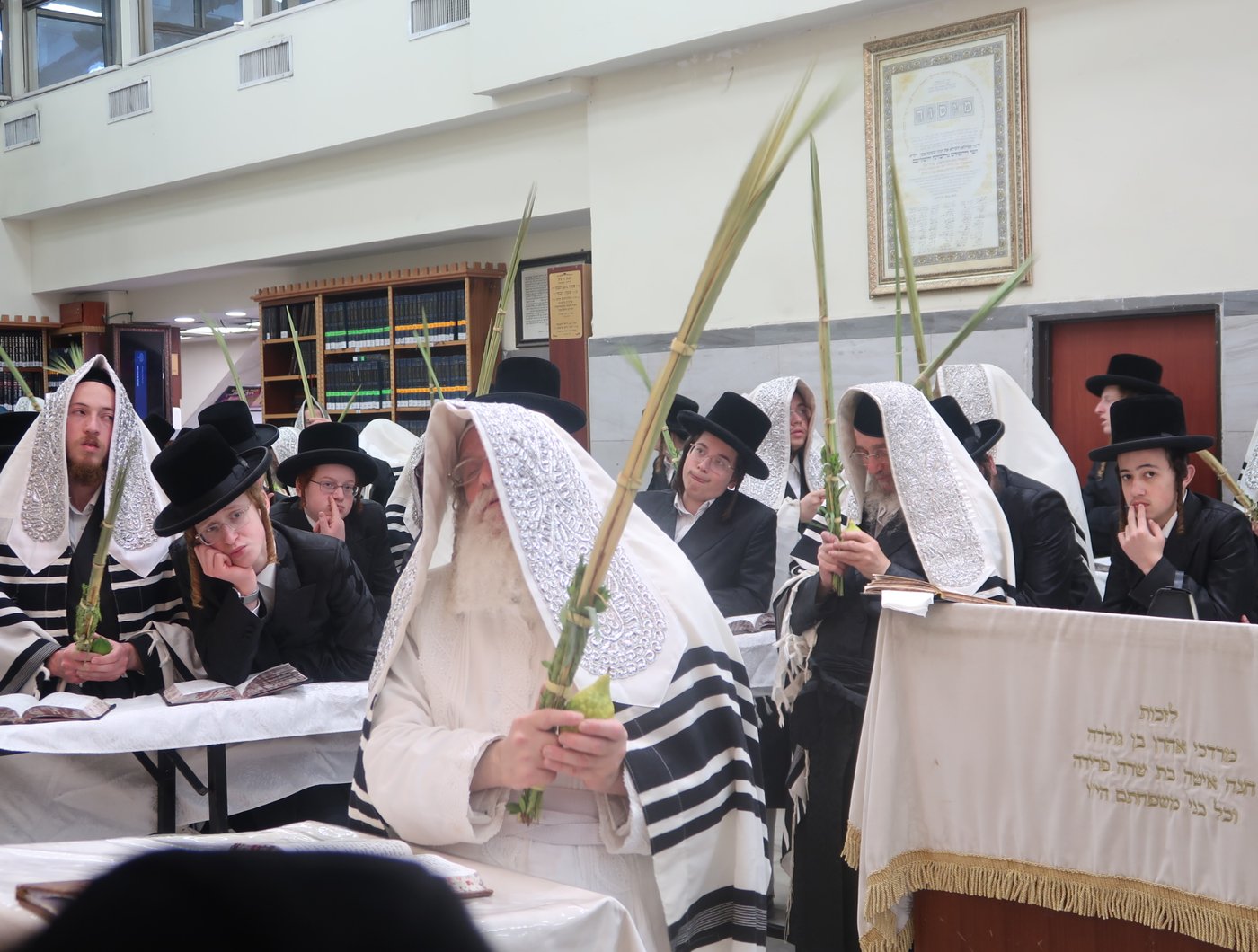 סוכות - הושענא רבה - שמחת תורה, בחצה"ק נדבורנה ירושלים