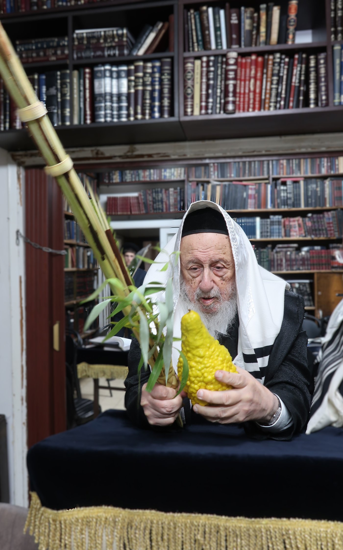 הגרב"ד פוברסקי בהושענא רבה
