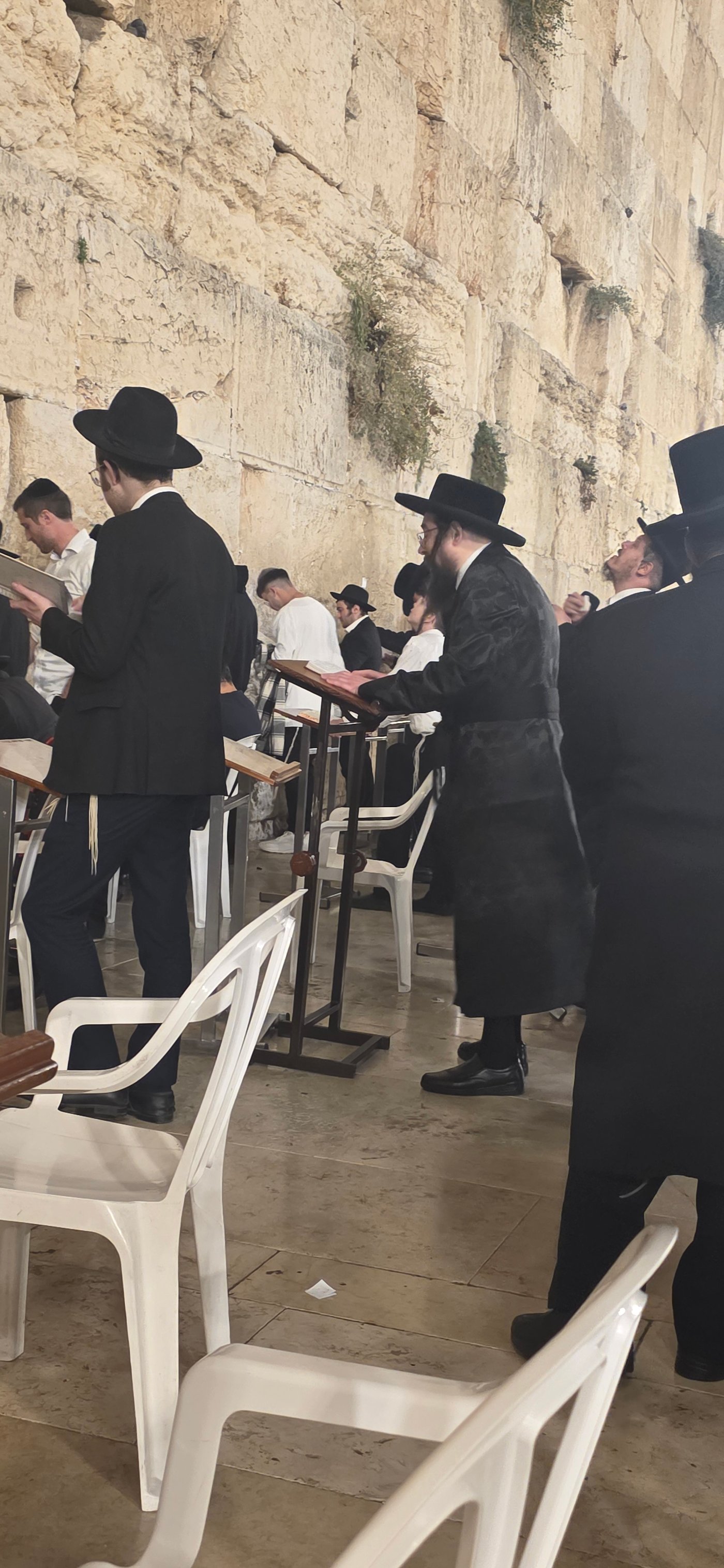 הגרימ"ד הלברשטאם בכותל המערבי
