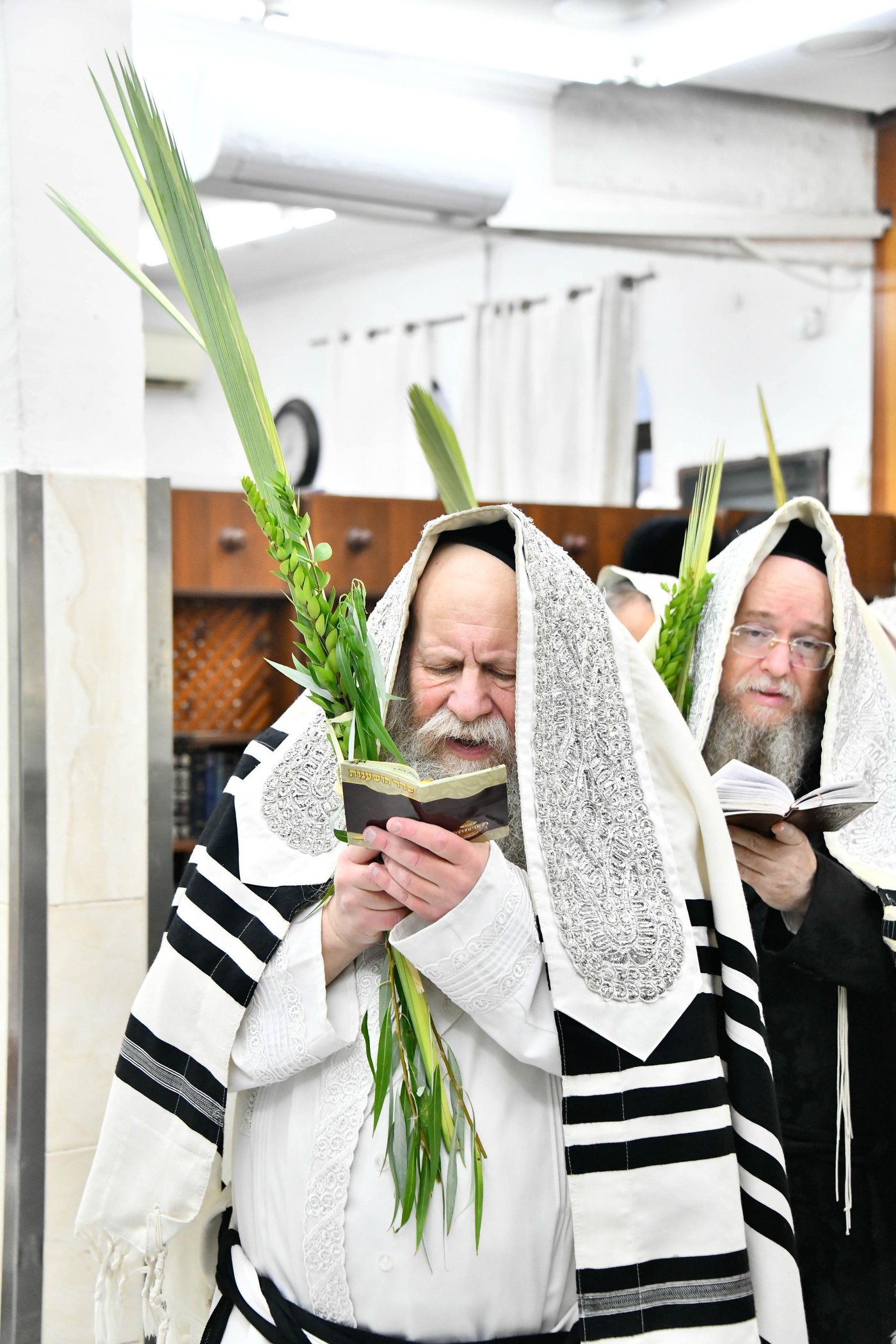 הושענא רבה בחצה"ק קוזמיר