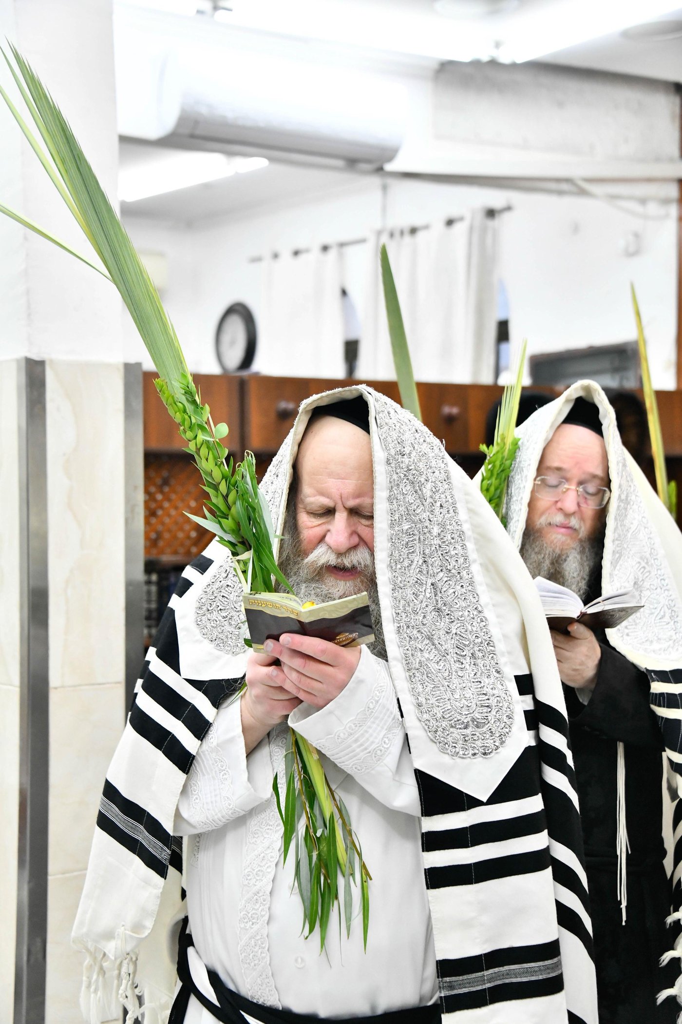 הושענא רבה בחצה"ק קוזמיר