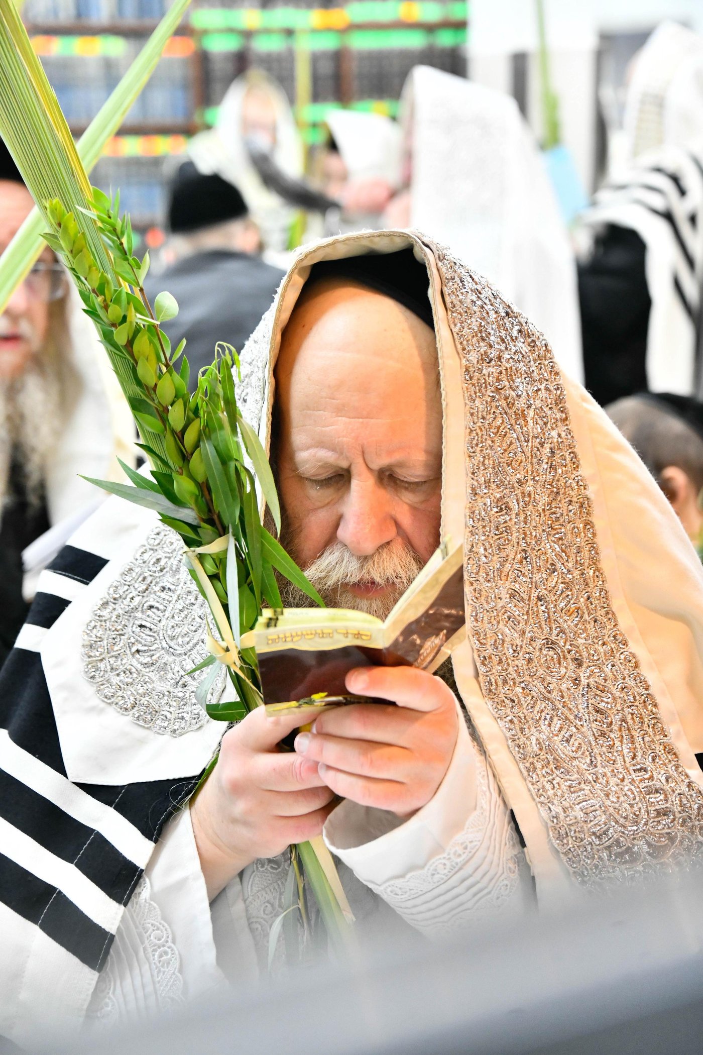 הושענא רבה בחצה"ק קוזמיר