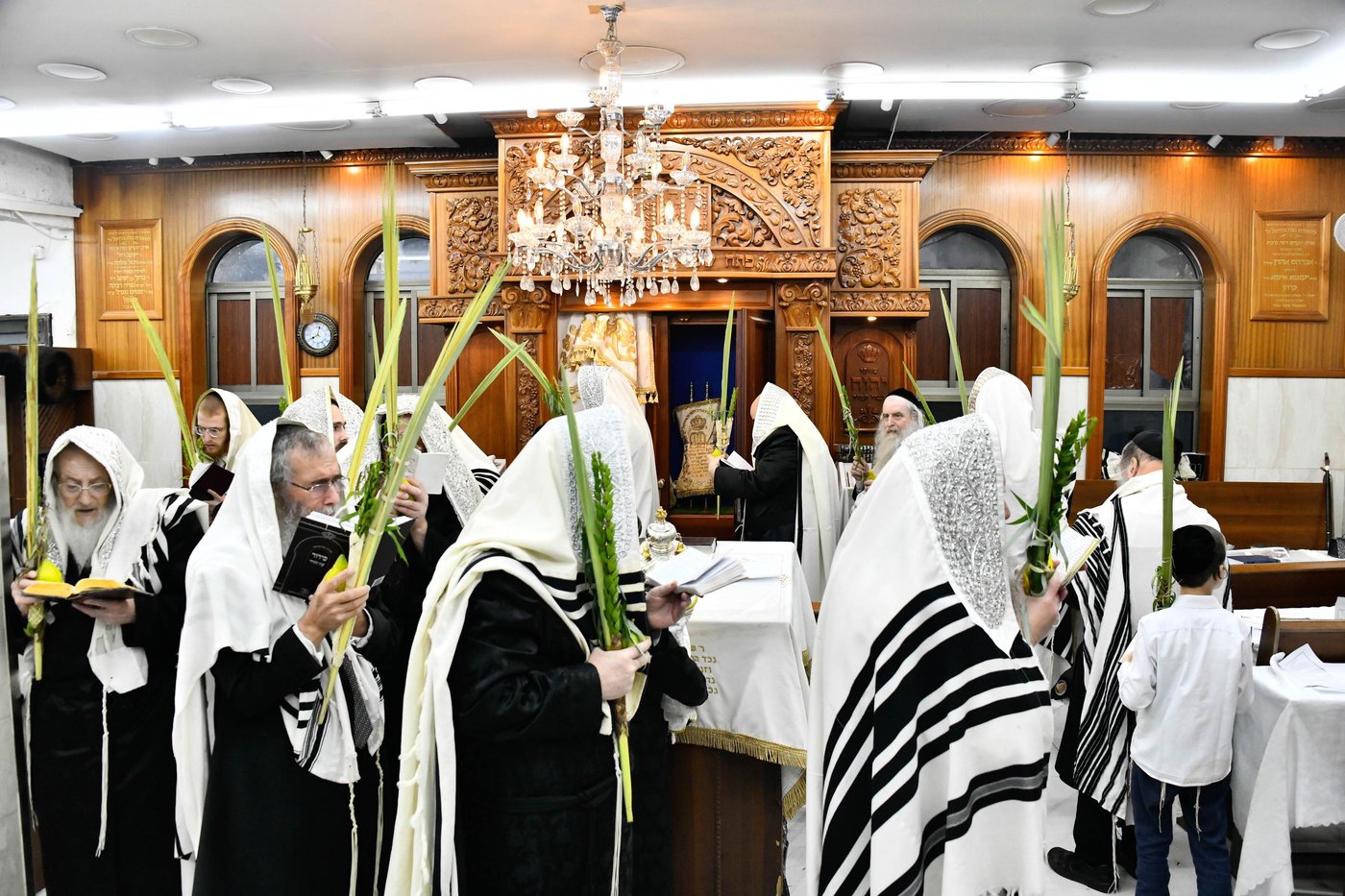 הושענא רבה בחצה"ק קוזמיר