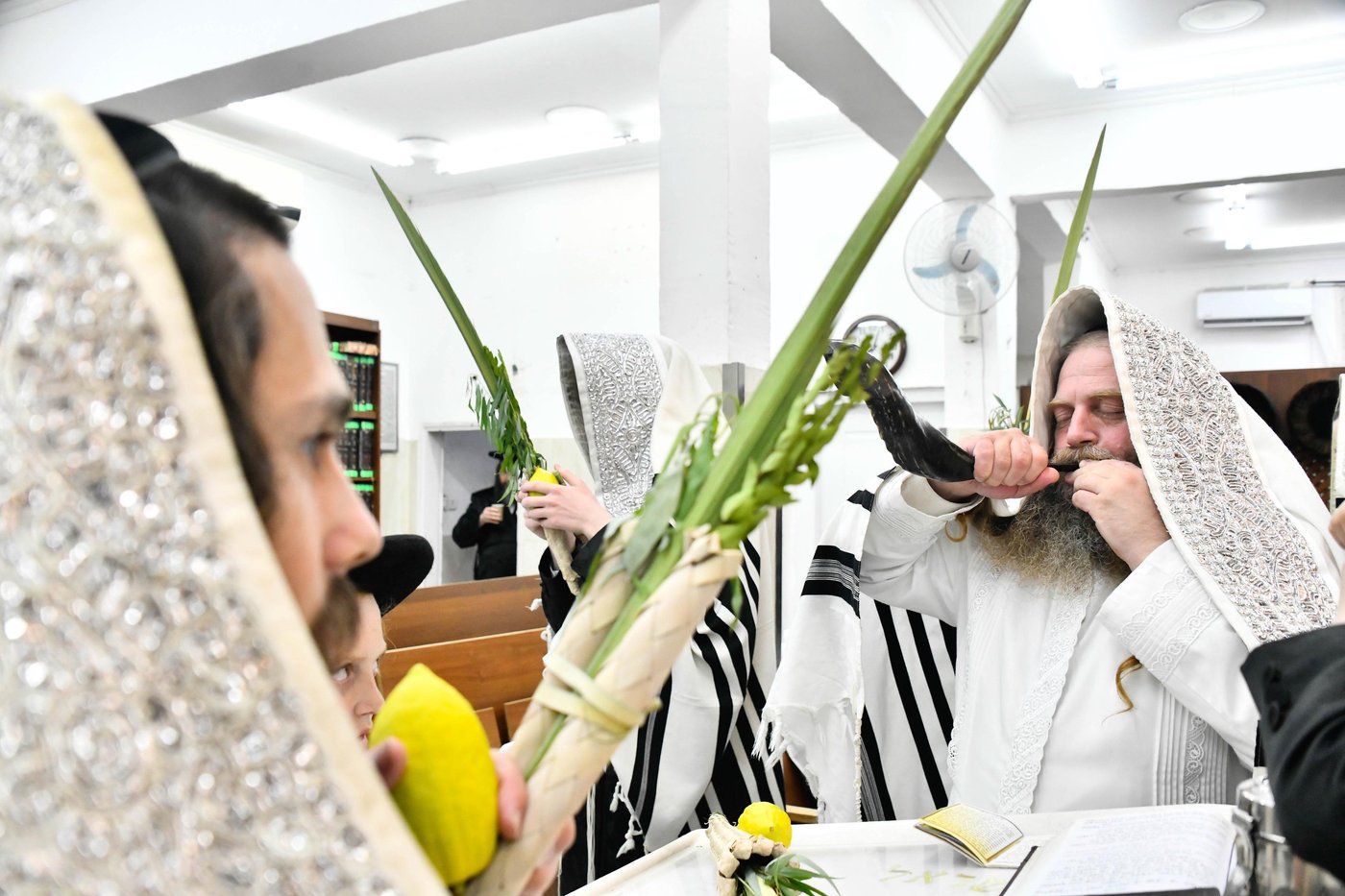 הושענא רבה בחצה"ק קוזמיר