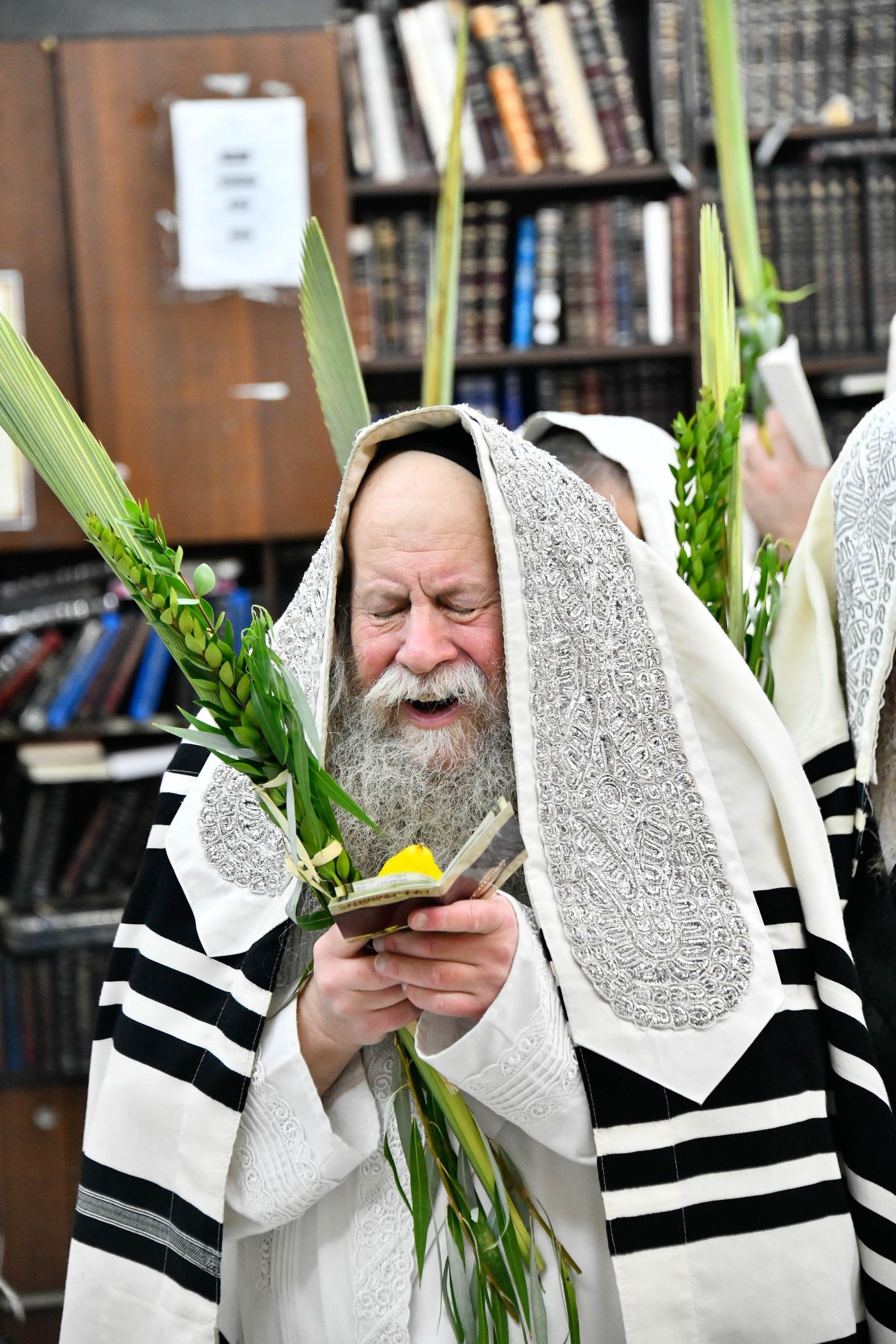 הושענא רבה בחצה"ק קוזמיר