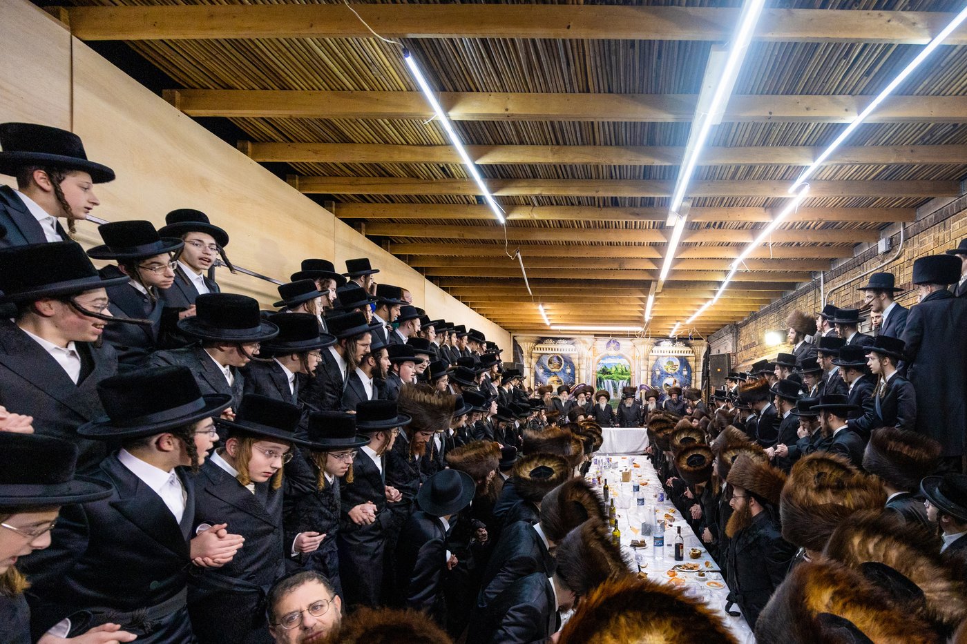 חג הסוכות בצל האדמו"ר מסערדאהעלי 