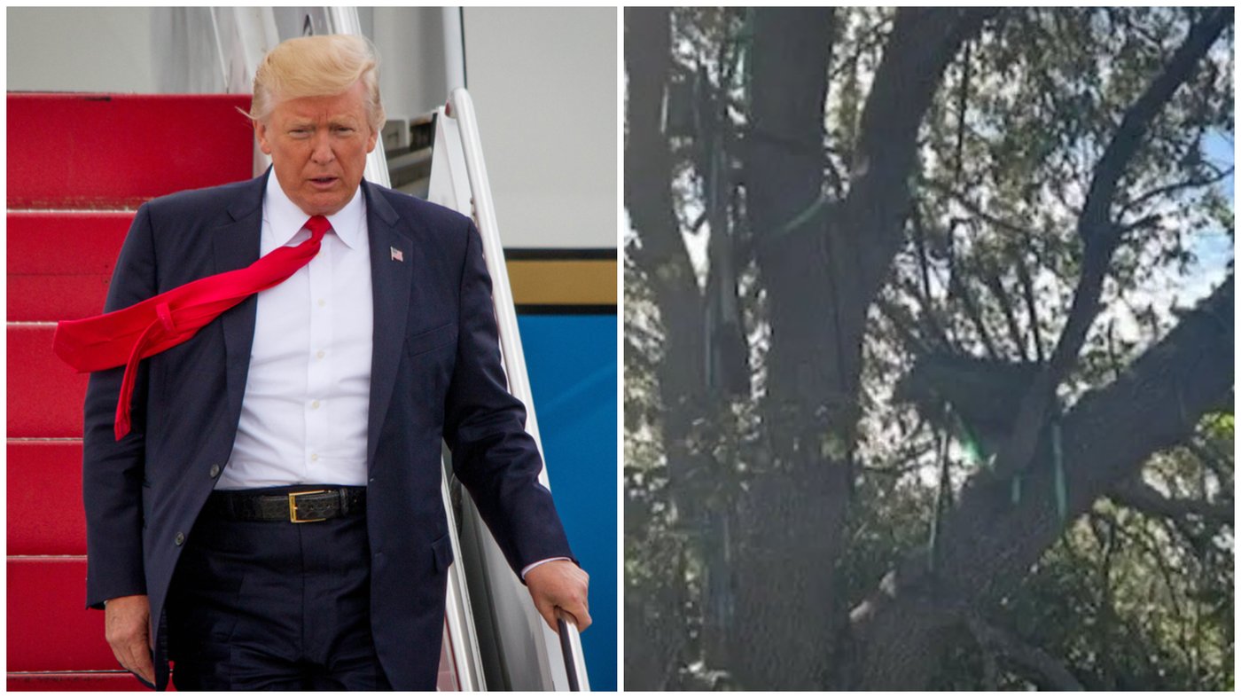 עמדת הציד בין העצים - הנשיא טראפ יורד מהמטוס הנישאותי
