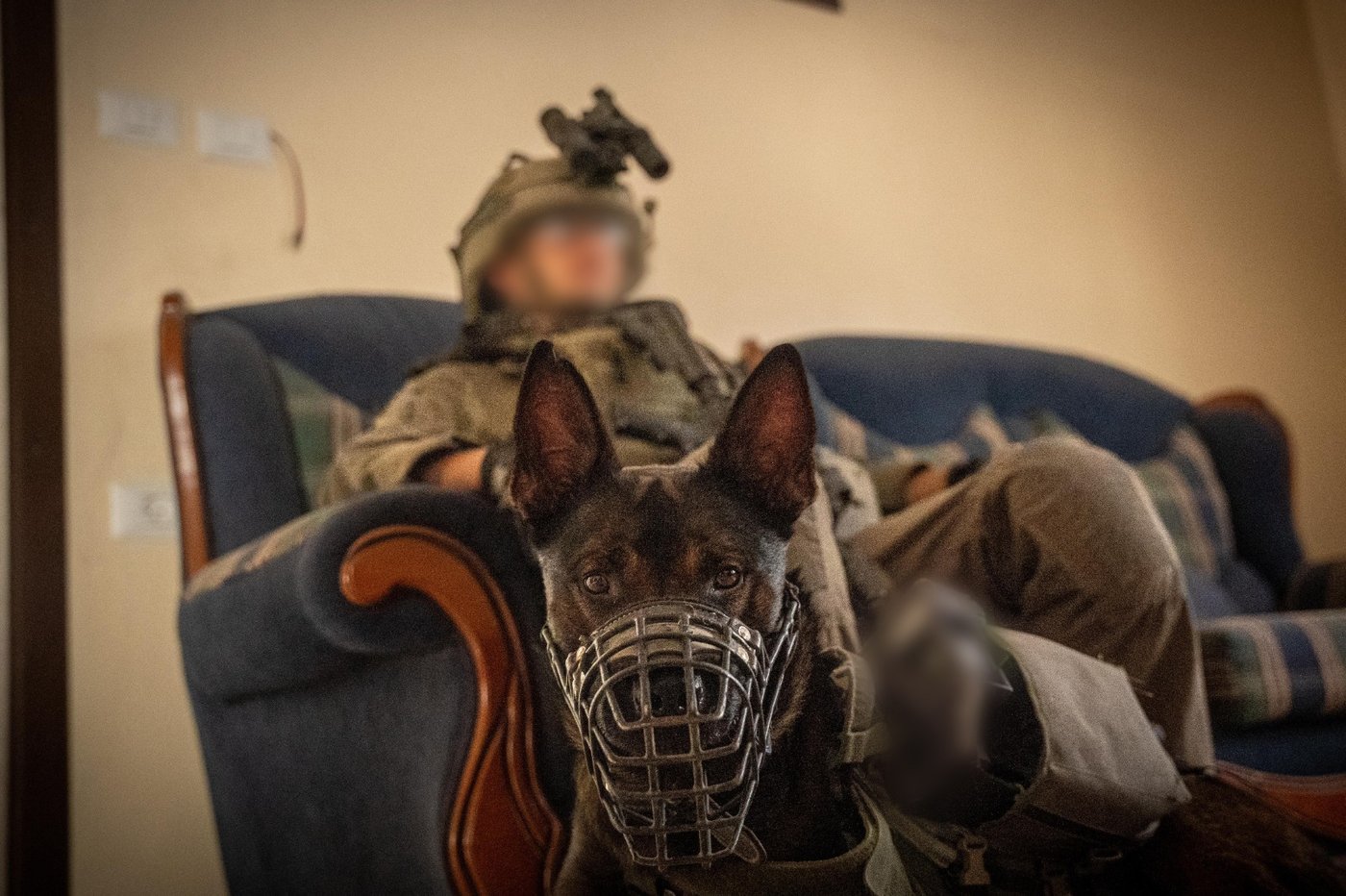 פעילות כוחות צה"ל ברצועת עזה במהלך השנתיים האחרונות