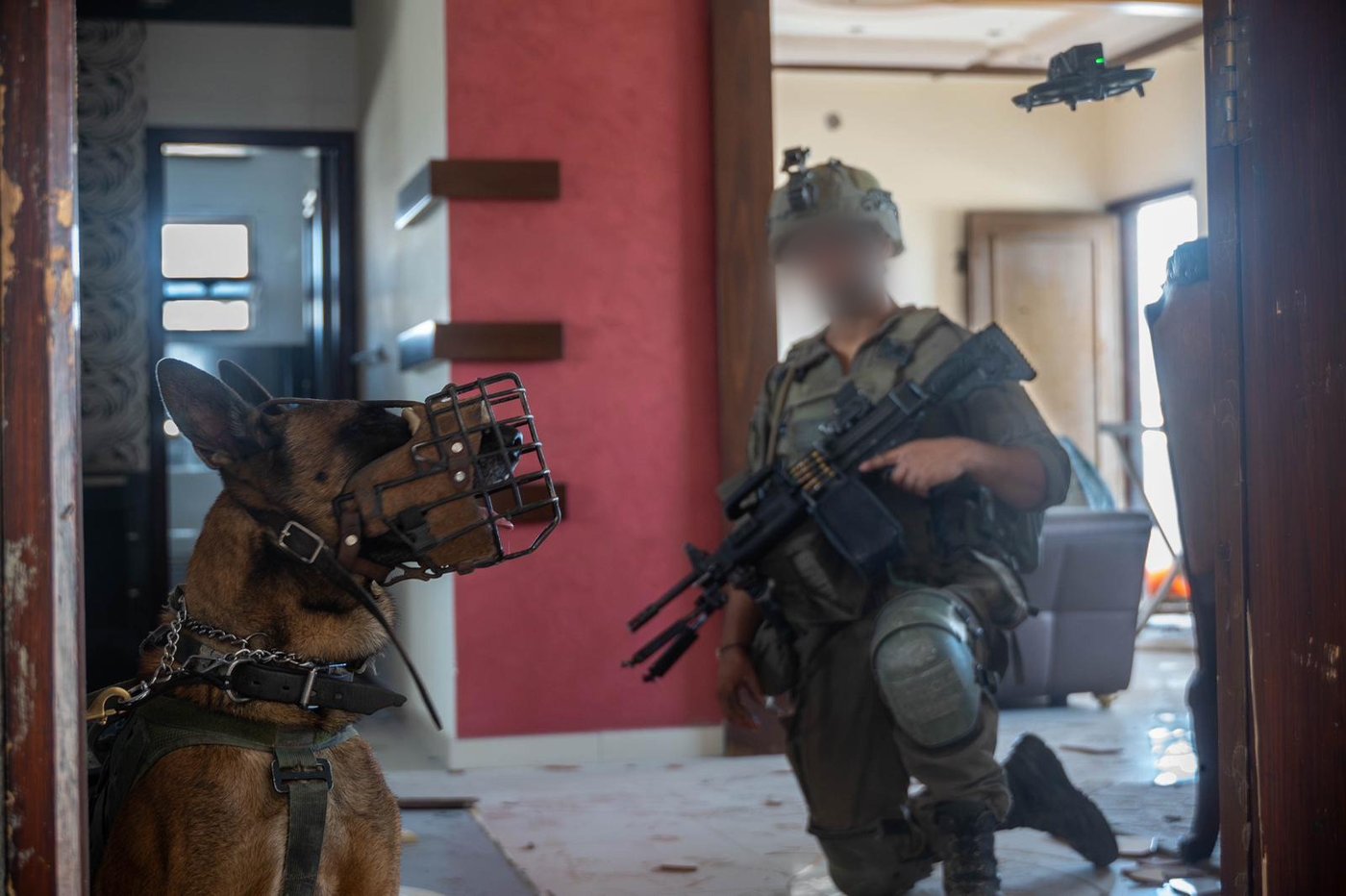 פעילות כוחות צה"ל ברצועת עזה במהלך השנתיים האחרונות