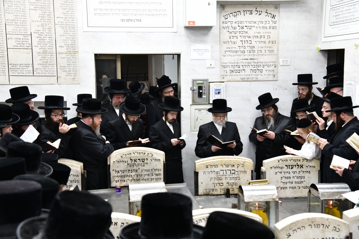 האדמו"ר מסערט ויז'ניץ בתפילה באוהל בית ויז'ניץ