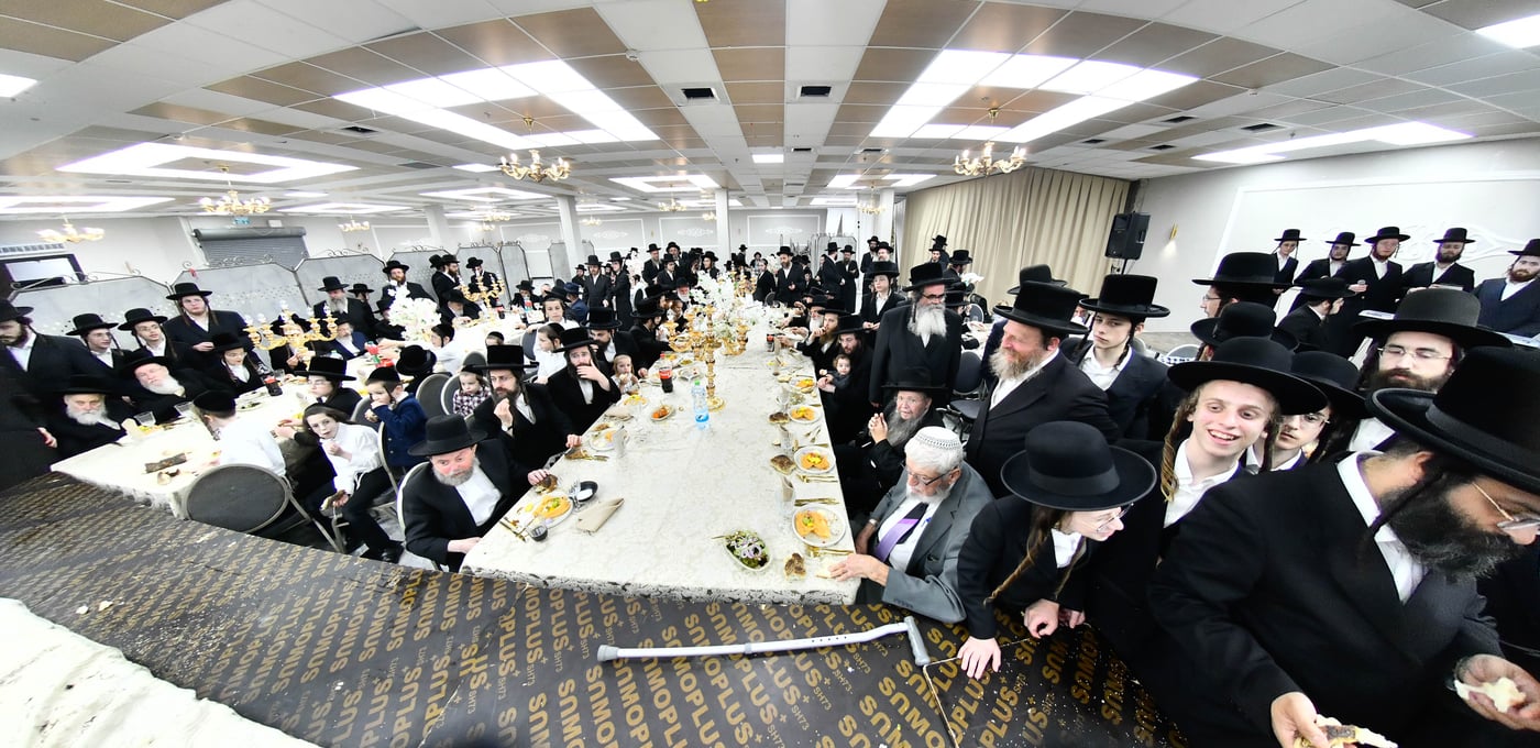 פדיון הבן בחצה"ק מודז'יץ - זוועהיל