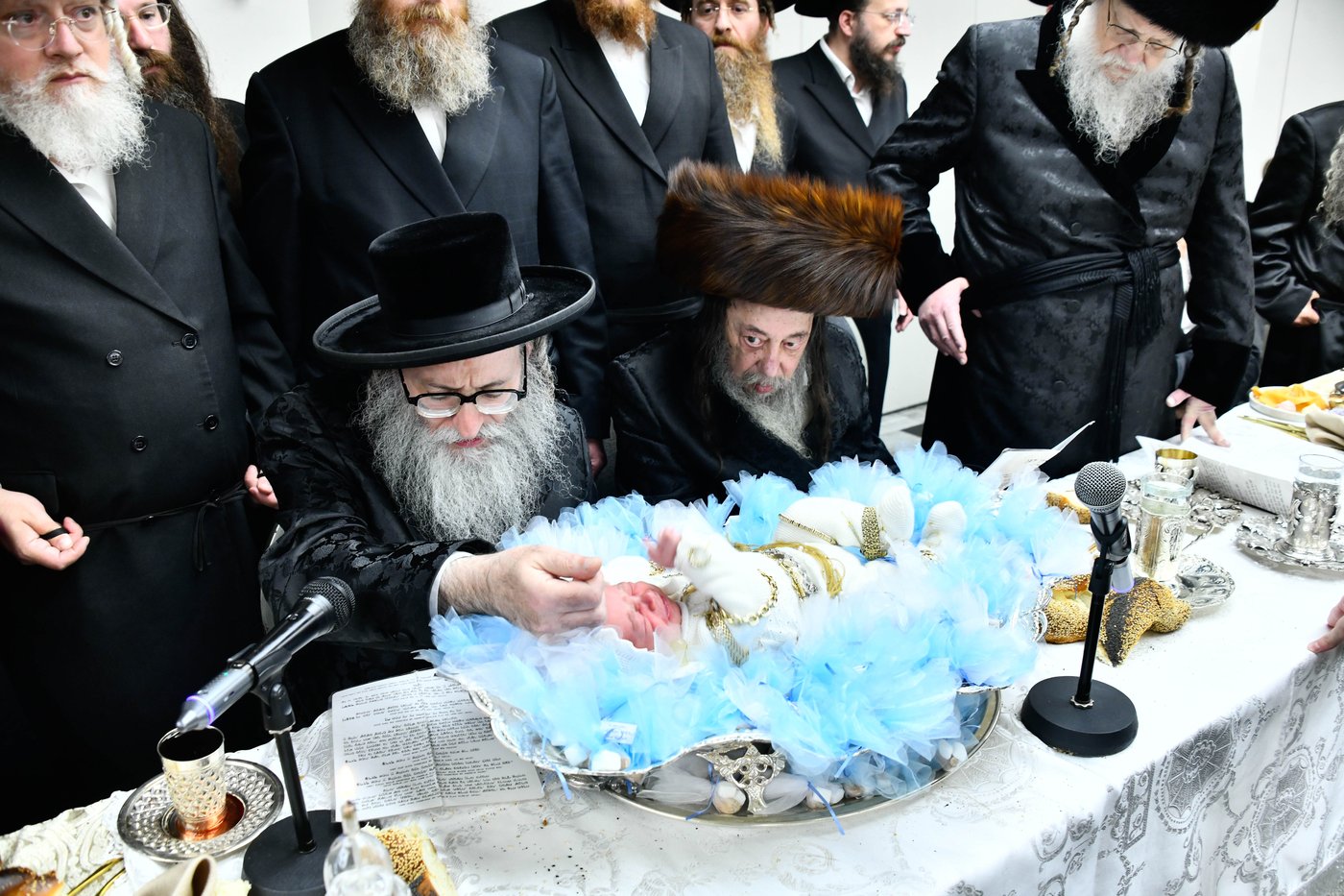 פדיון הבן בחצה"ק מודז'יץ - זוועהיל