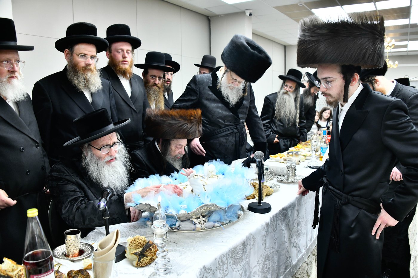 פדיון הבן בחצה"ק מודז'יץ - זוועהיל