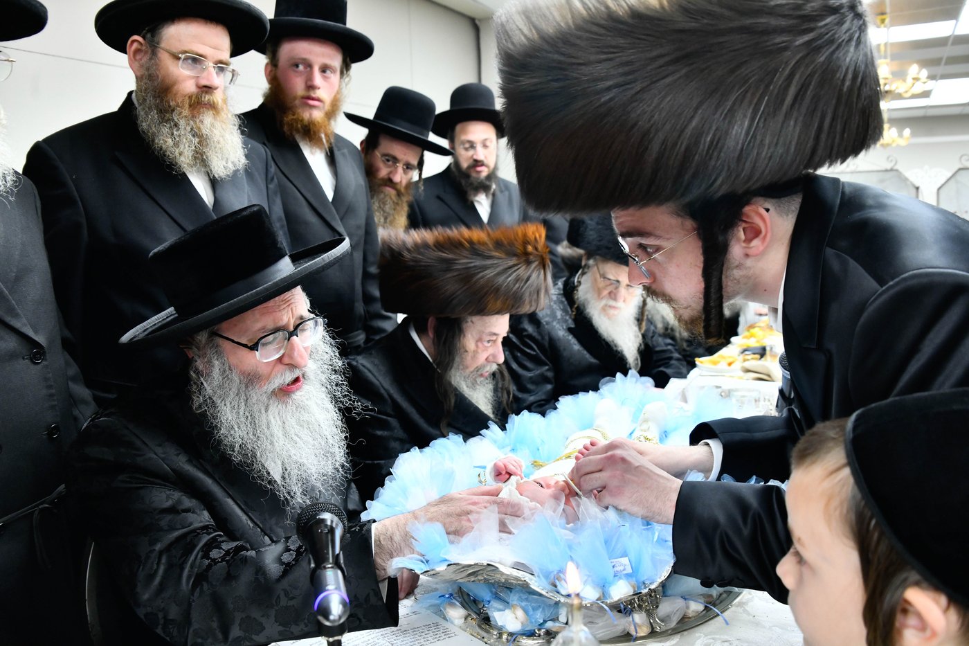 פדיון הבן בחצה"ק מודז'יץ - זוועהיל