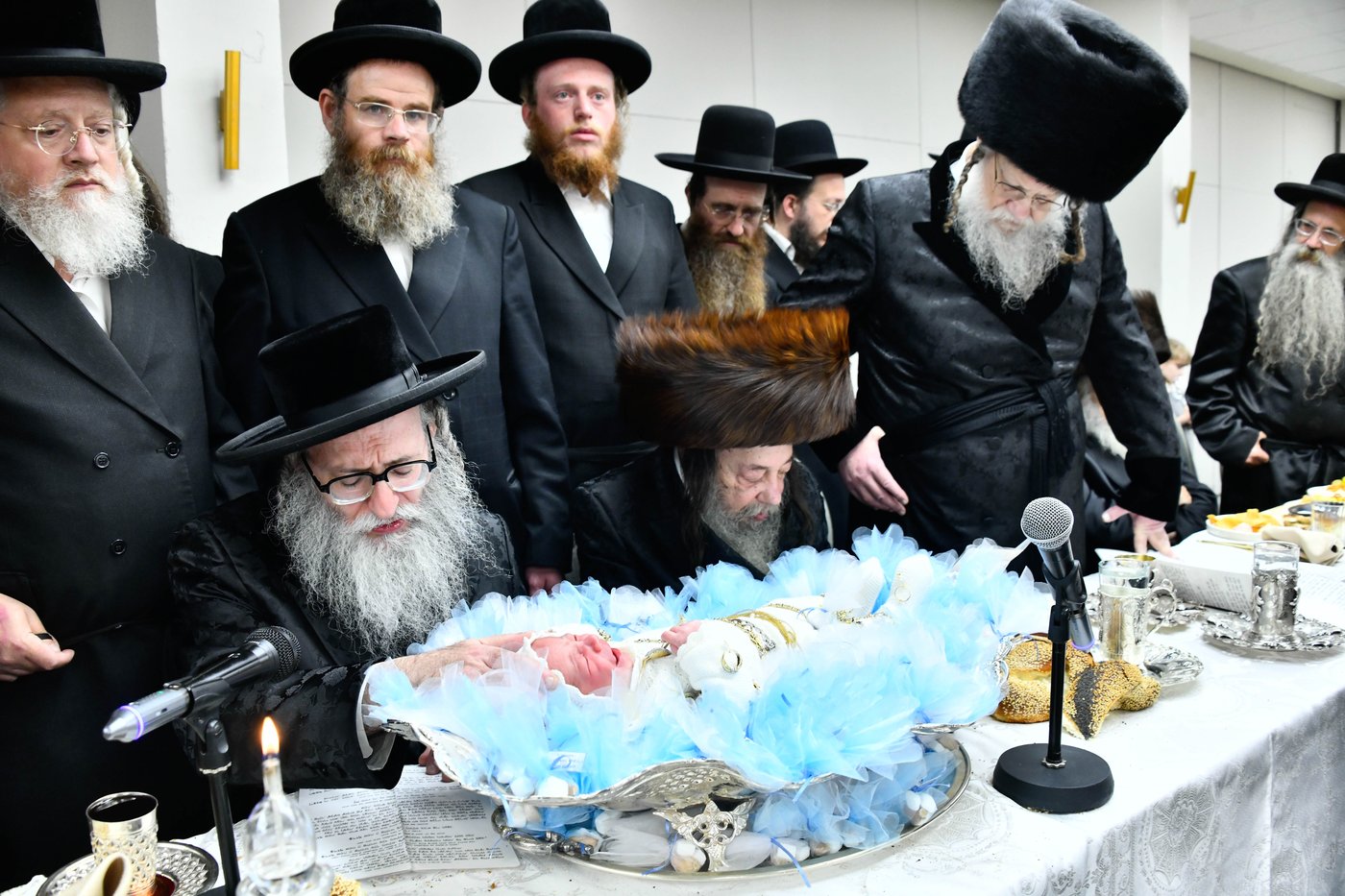 פדיון הבן בחצה"ק מודז'יץ - זוועהיל