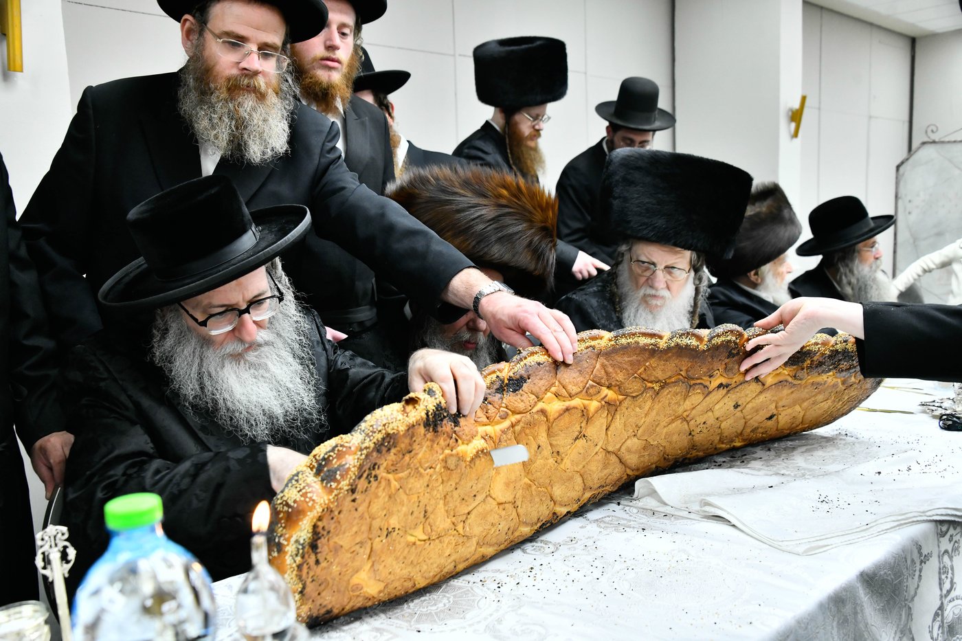 פדיון הבן בחצה"ק מודז'יץ - זוועהיל