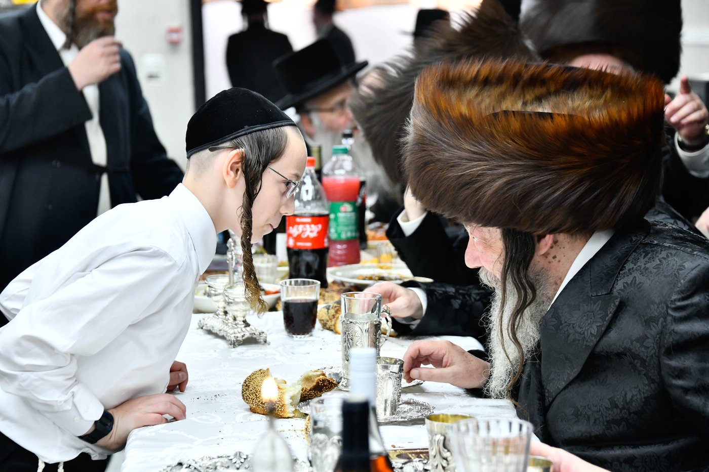 פדיון הבן בחצה"ק מודז'יץ - זוועהיל