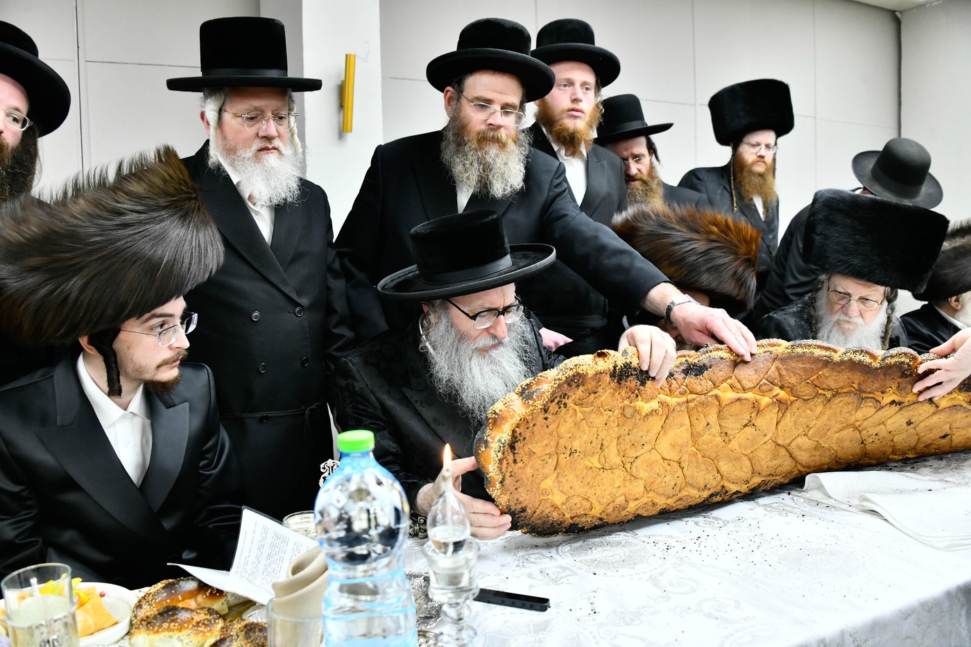 פדיון הבן בחצה"ק מודז'יץ - זוועהיל