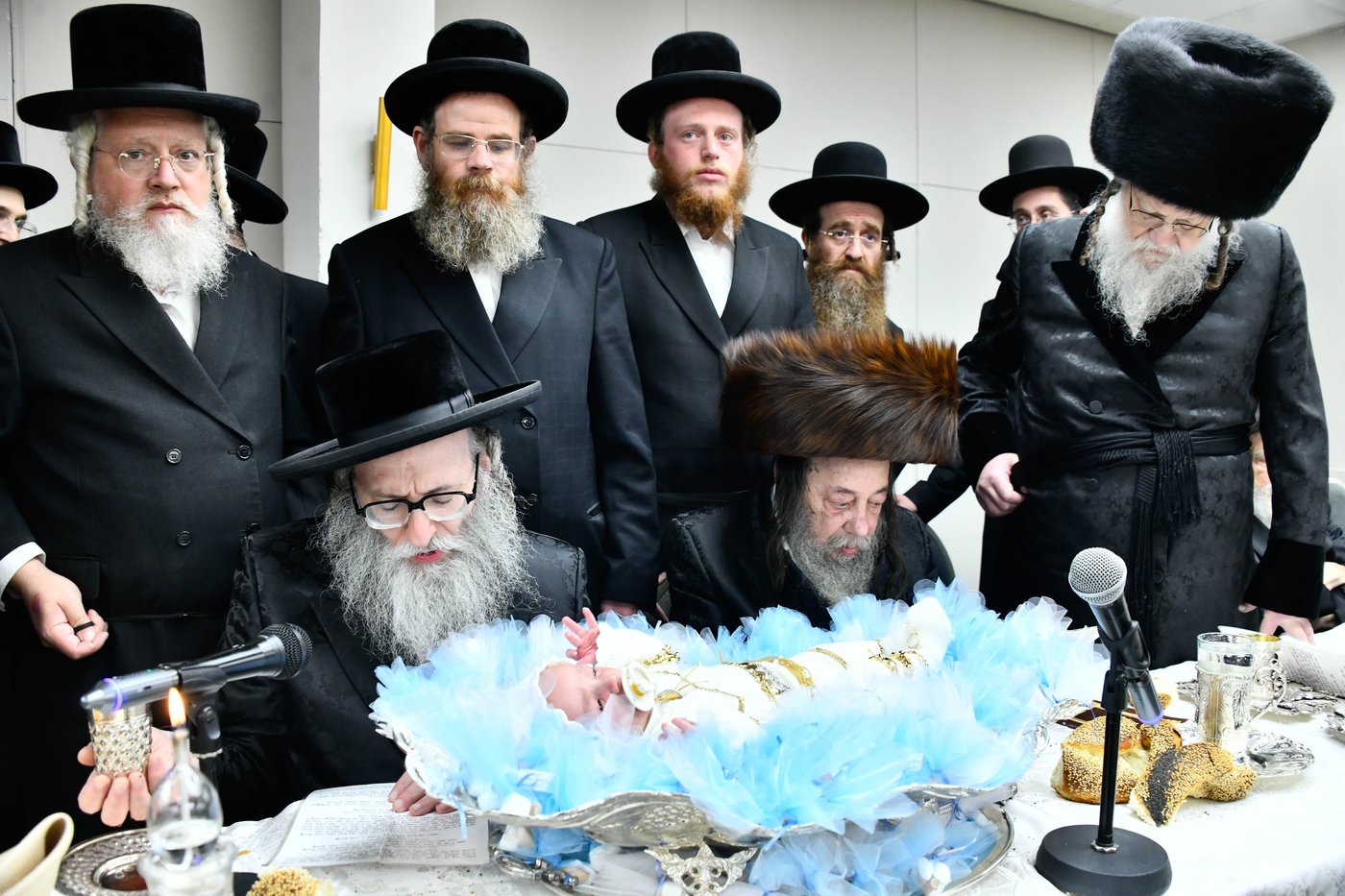 פדיון הבן בחצה"ק מודז'יץ - זוועהיל