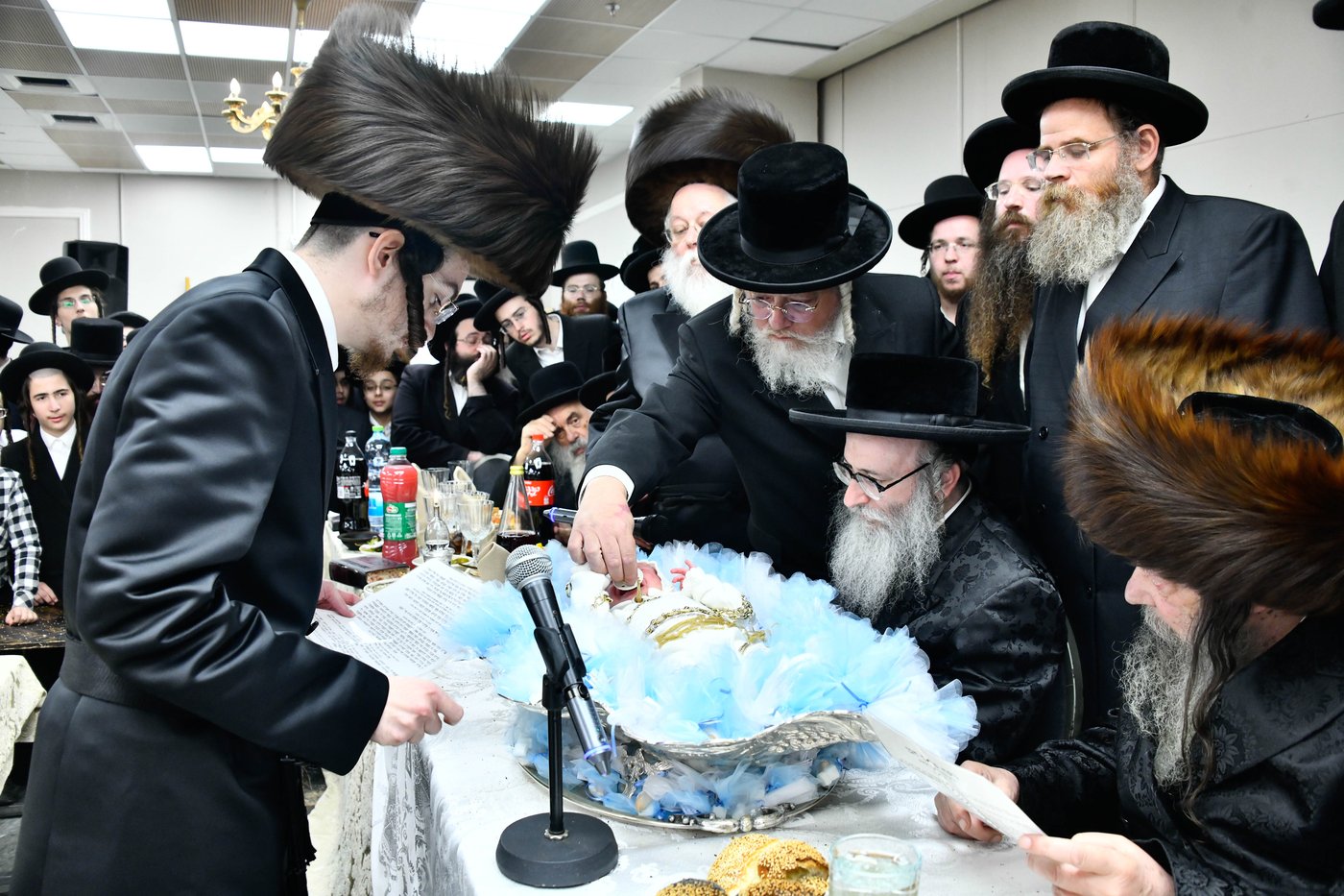 פדיון הבן בחצה"ק מודז'יץ - זוועהיל