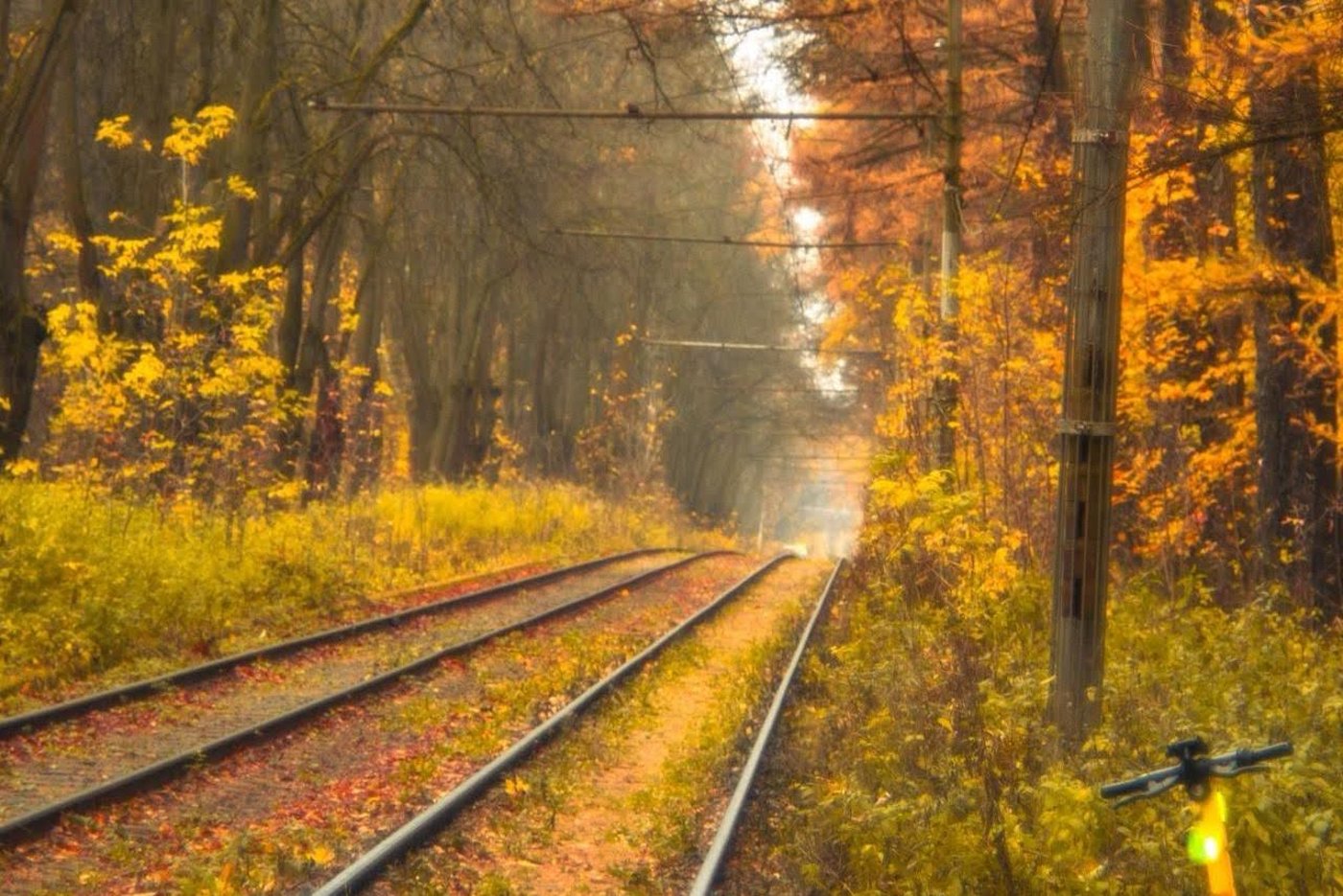 ה"סתיו הזהב" בפארק הרוסי הענק