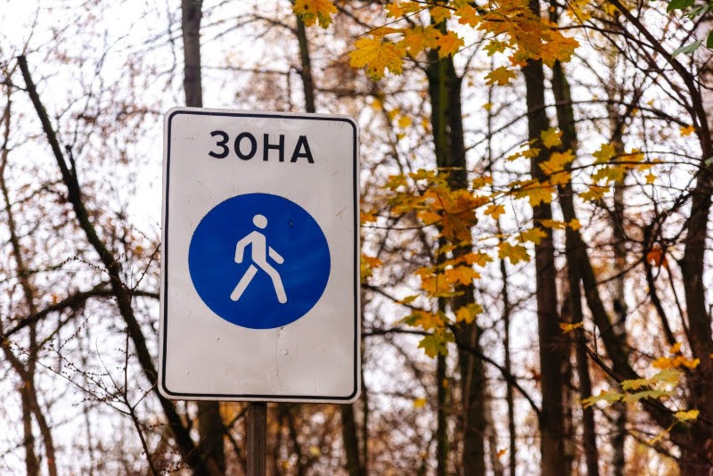 ה"סתיו הזהב" בפארק הרוסי הענק