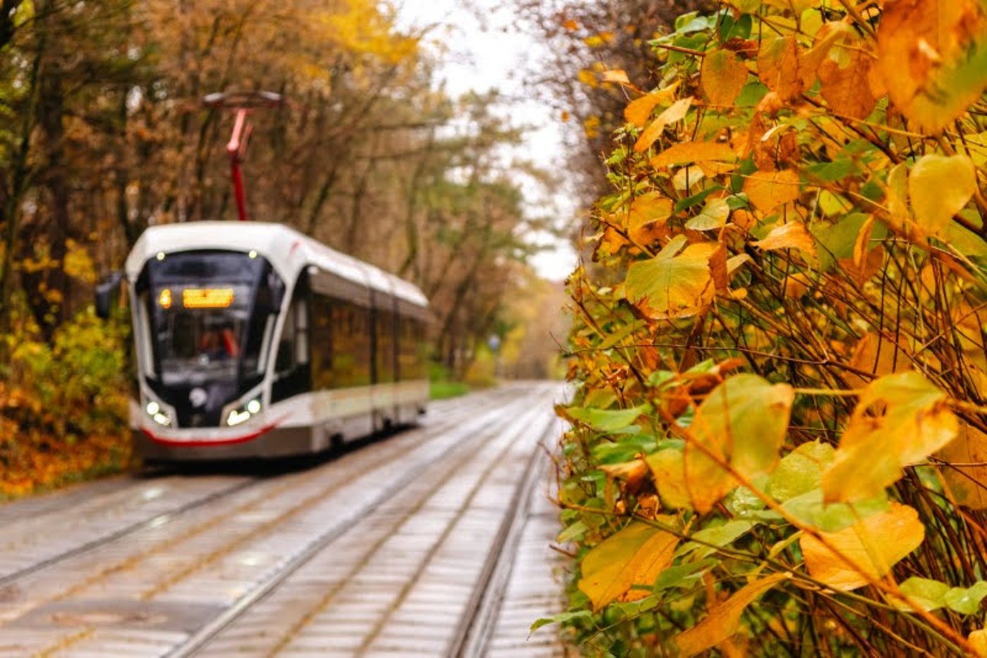 ה"סתיו הזהב" בפארק הרוסי הענק