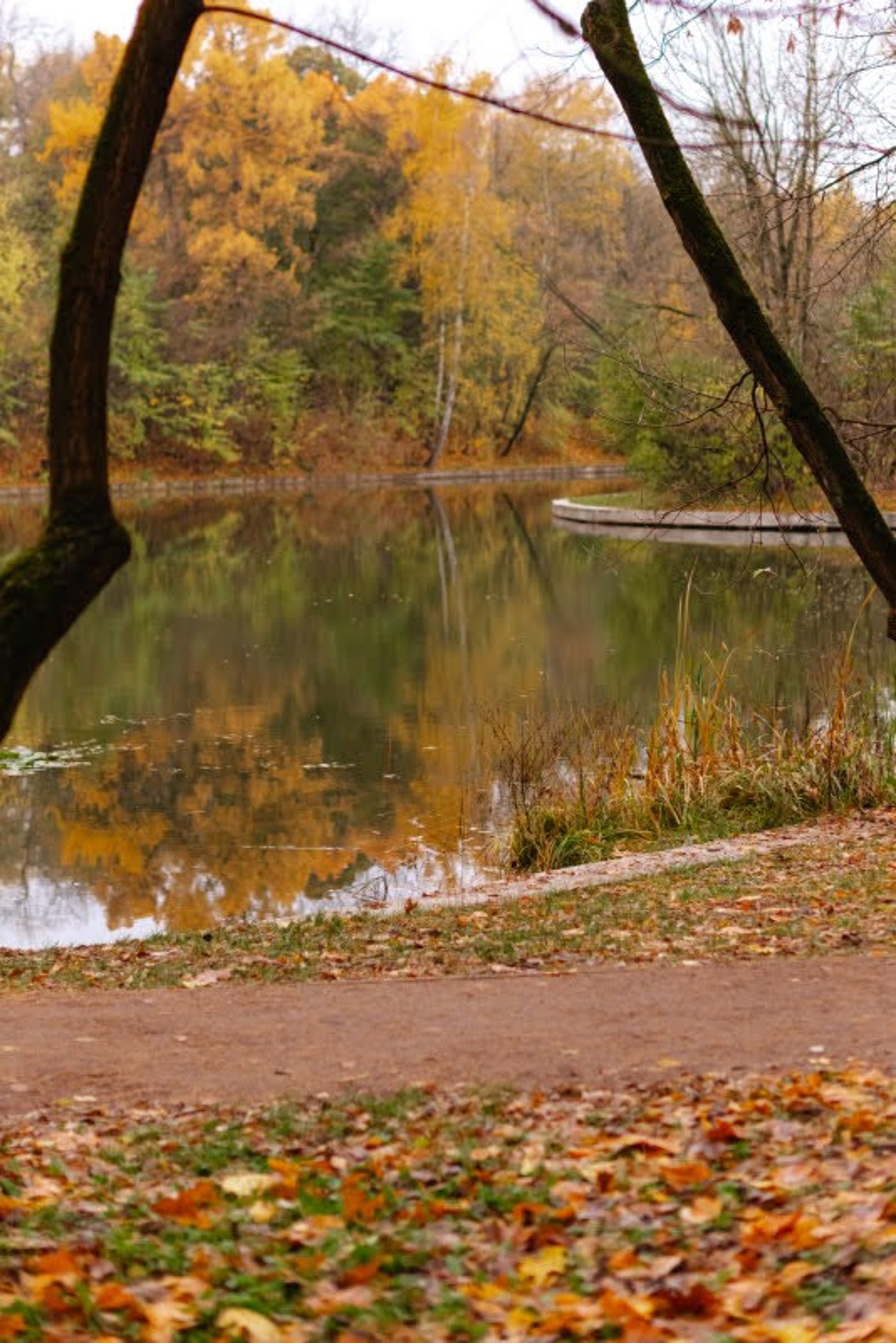ה"סתיו הזהב" בפארק הרוסי הענק