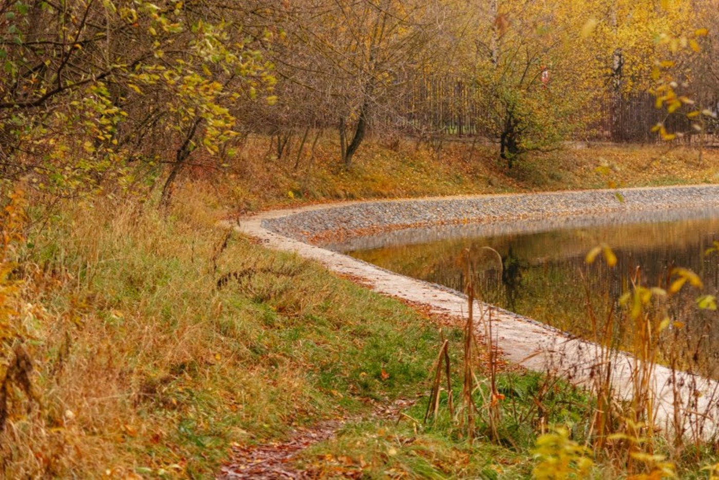 ה"סתיו הזהב" בפארק הרוסי הענק