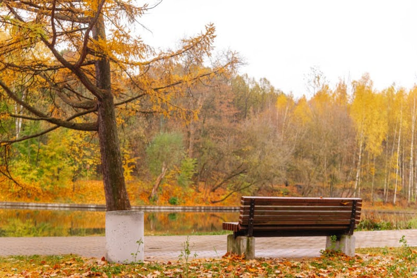 ה"סתיו הזהב" בפארק הרוסי הענק