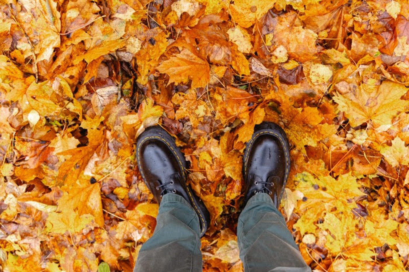 ה"סתיו הזהב" בפארק הרוסי הענק