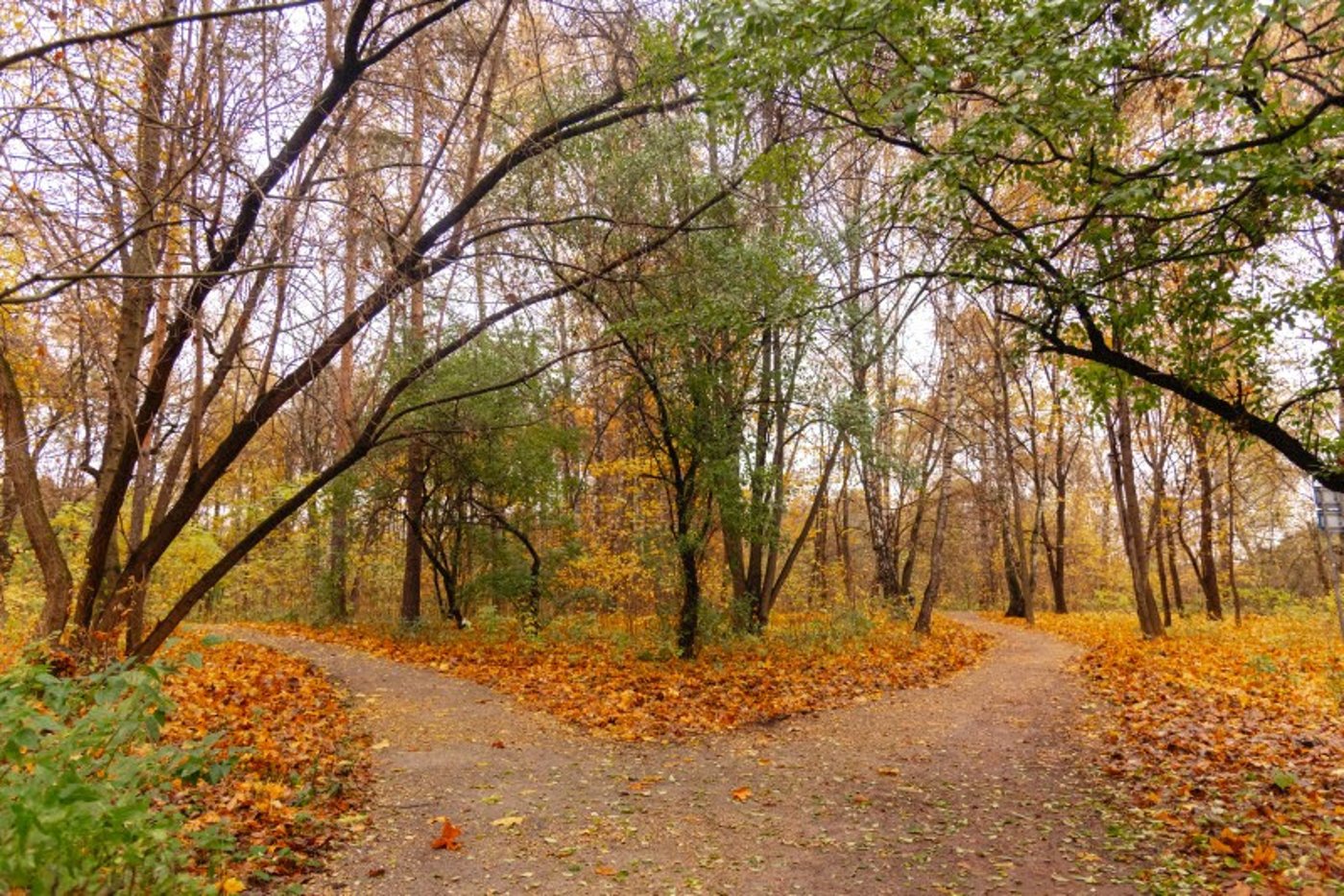 ה"סתיו הזהב" בפארק הרוסי הענק