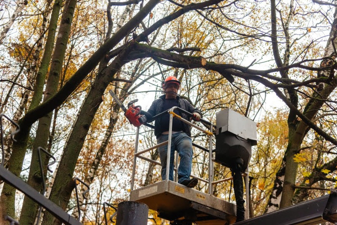 ה"סתיו הזהב" בפארק הרוסי הענק
