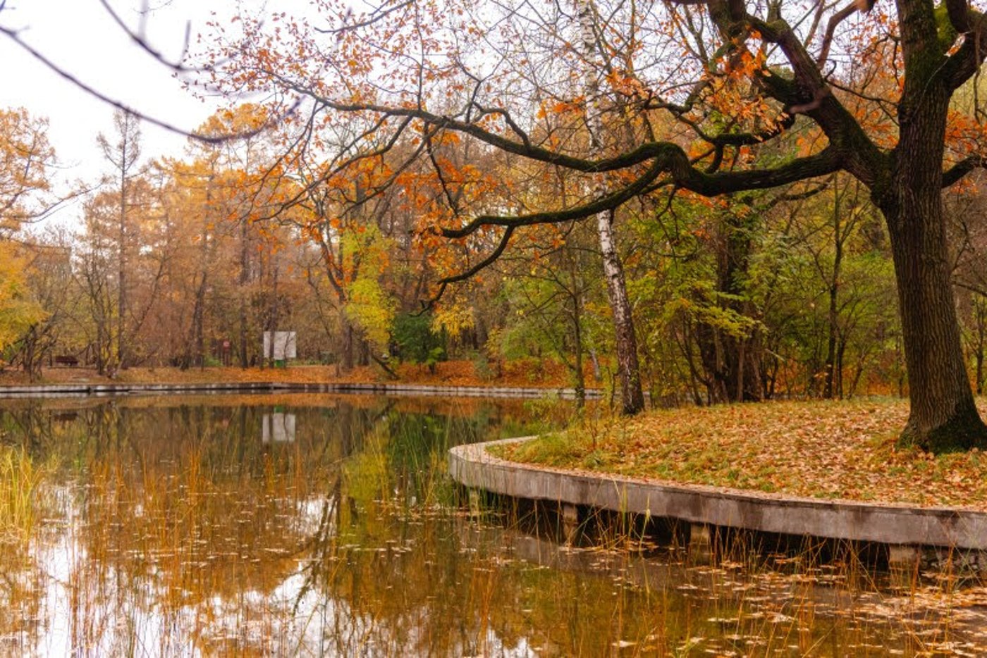 ה"סתיו הזהב" בפארק הרוסי הענק