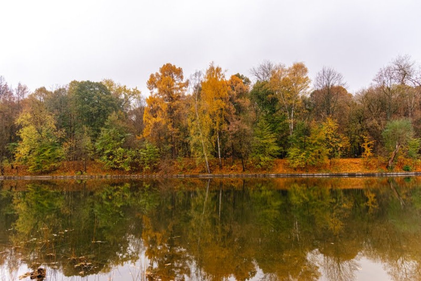 ה"סתיו הזהב" בפארק הרוסי הענק