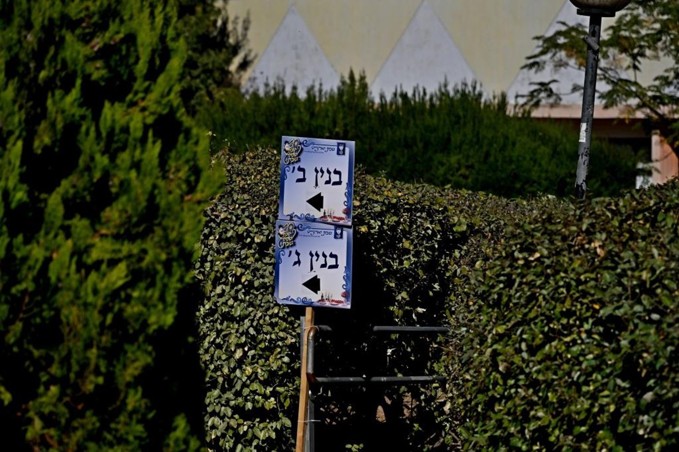 שבת התאחדות קהילת המתמידים במירון