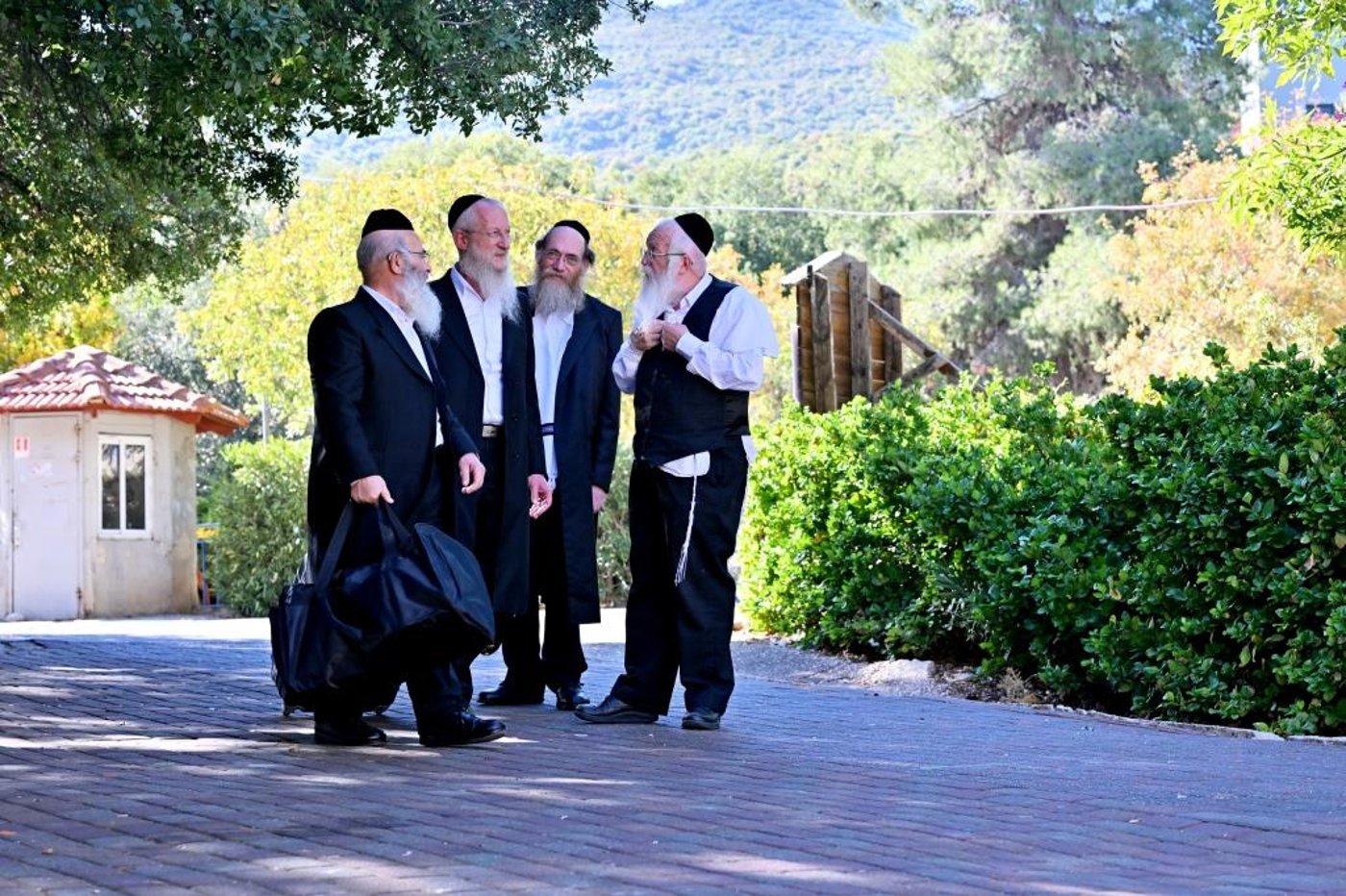 שבת התאחדות קהילת המתמידים במירון