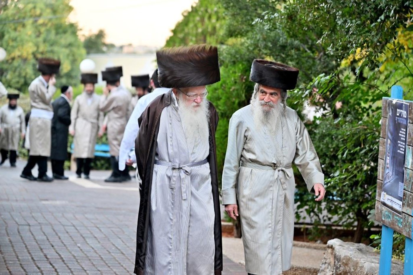 שבת התאחדות קהילת המתמידים במירון