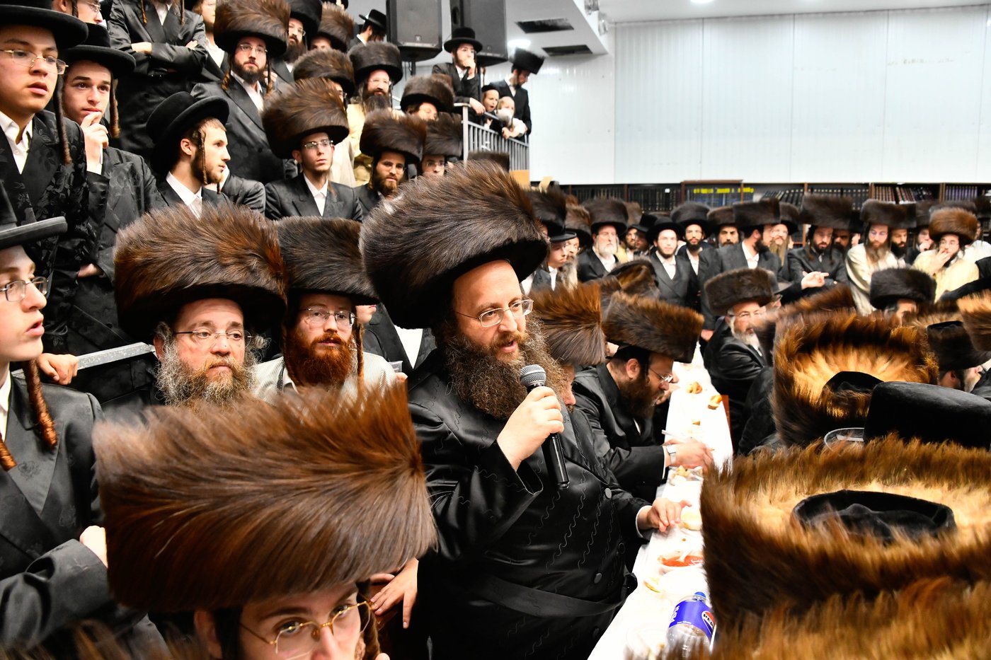 שמחת הפארשפיל בלעלוב ירושלים