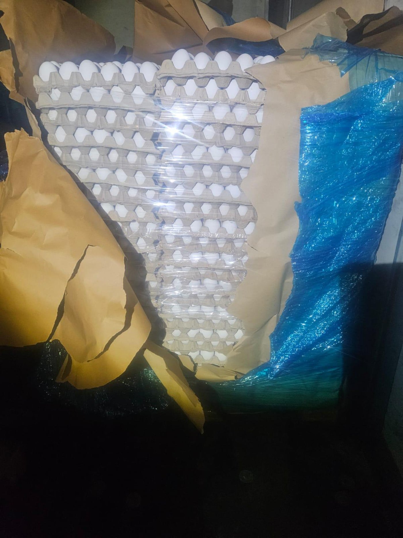 ניסיון הברחת הביצים