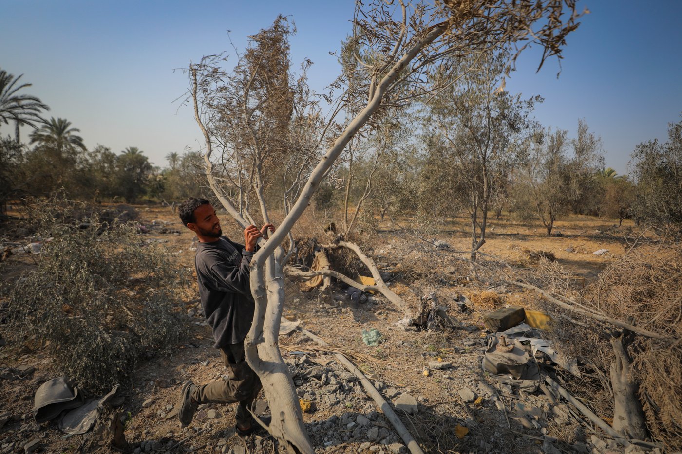 התחזית: ירידה ניכרת בטמפרטורות אך עדיין יהיה חם עד שרבי