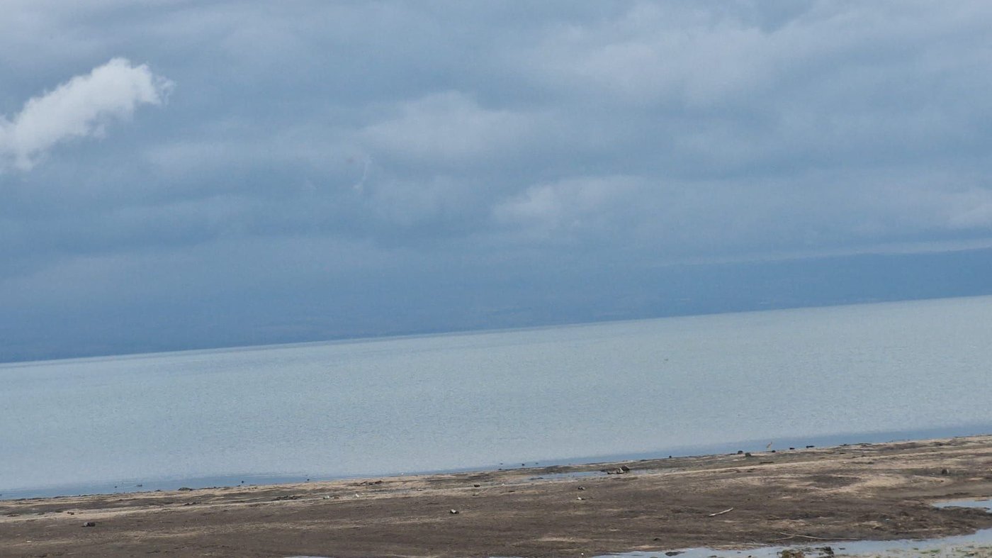 חוף הכנרת, הבוקר 