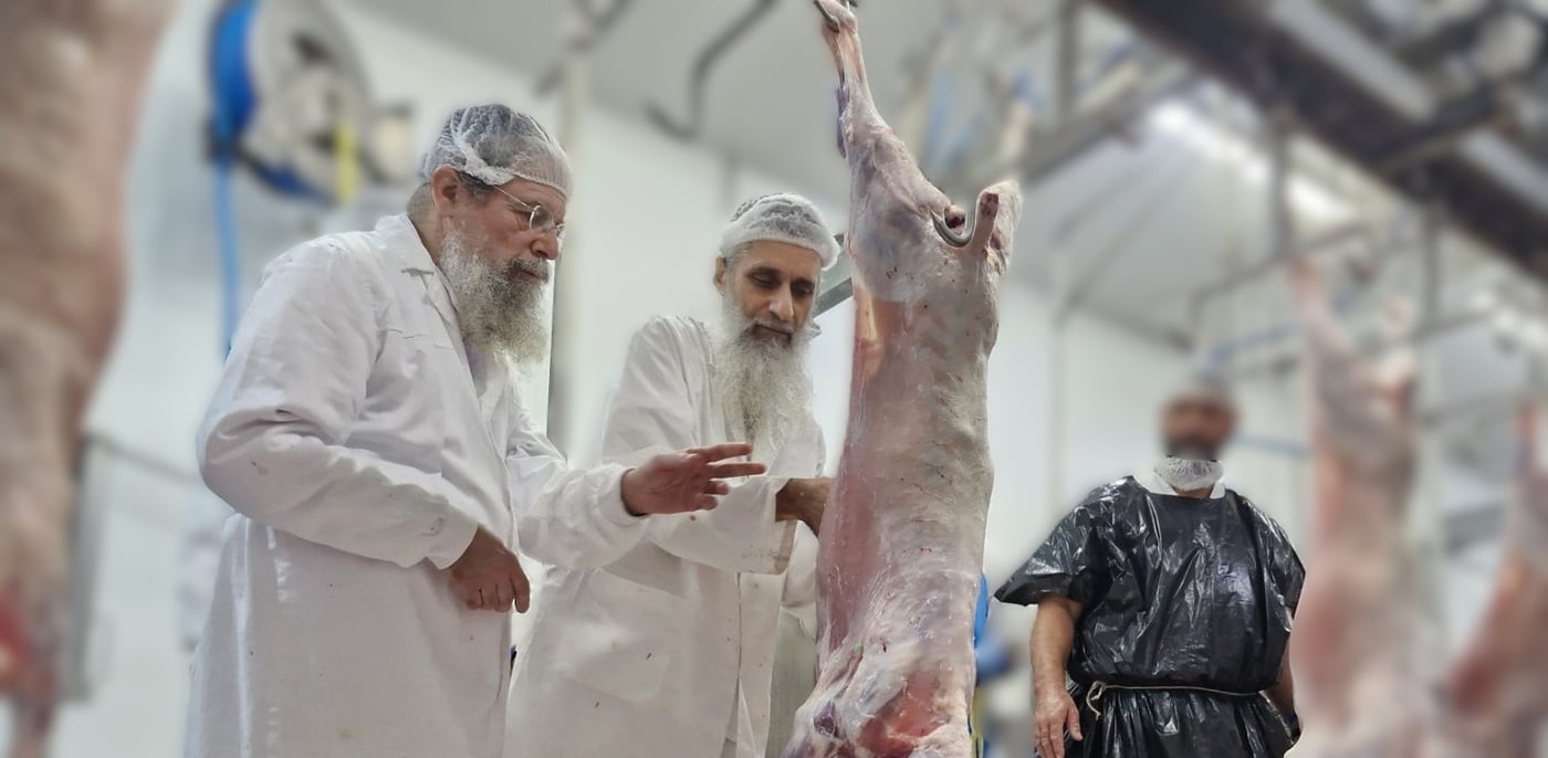  חברי בד"ץ 'נווה ציון' בשחיטת כבשים בספרד 