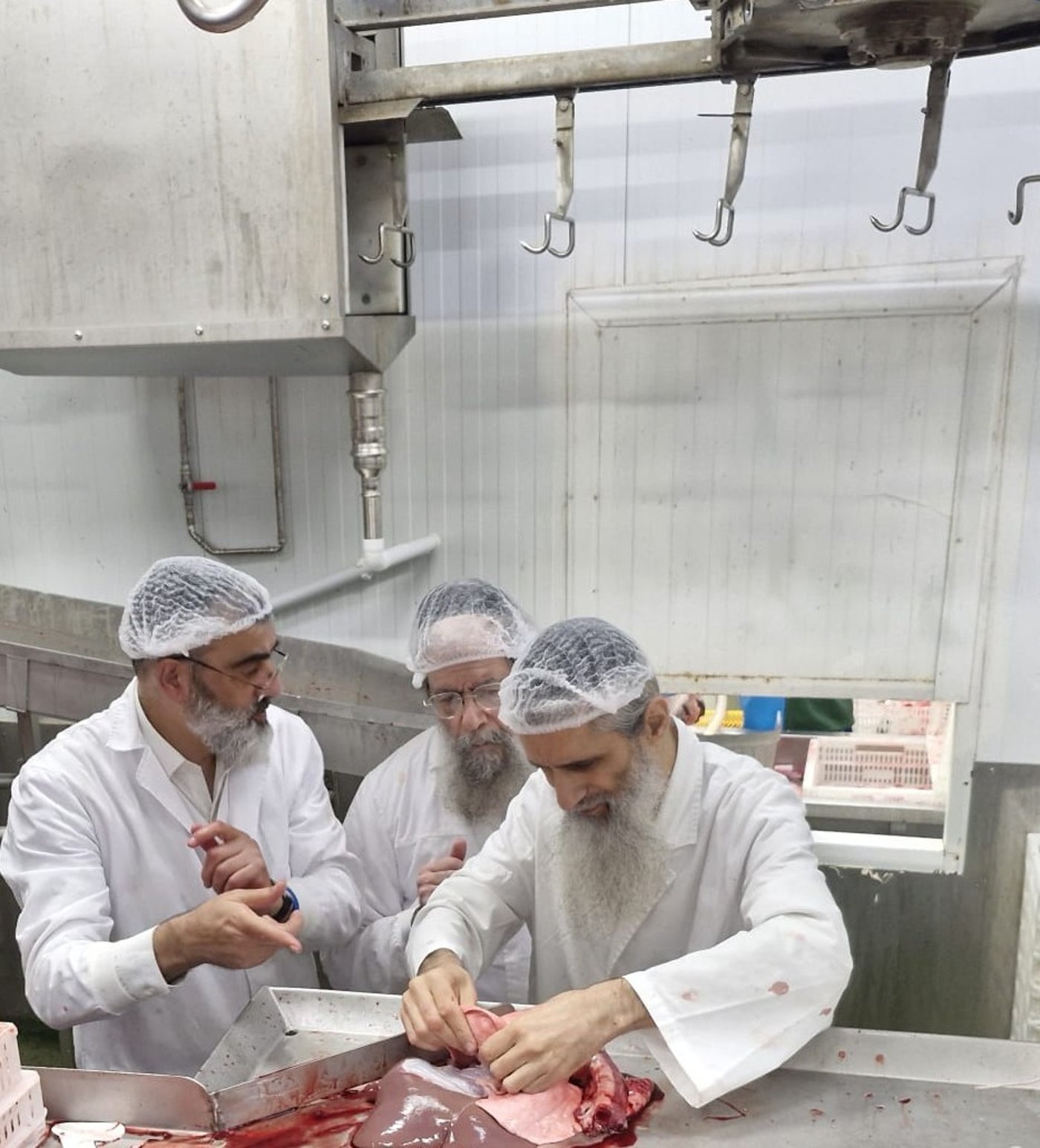  חברי בד"ץ 'נווה ציון' בשחיטת כבשים בספרד 